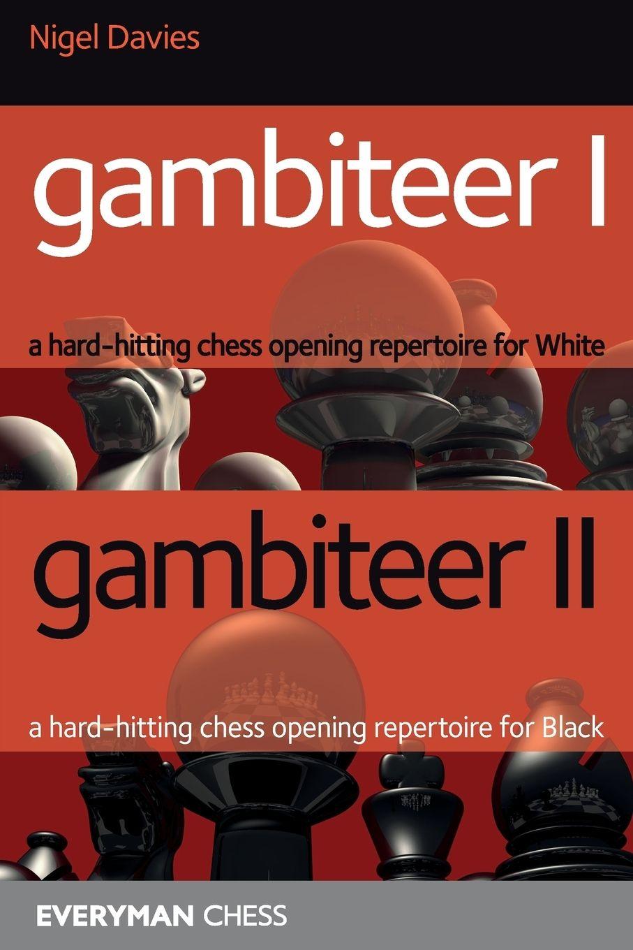 Vorderes Coverbild Gambiteer