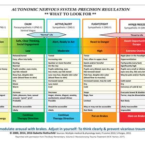 Vorderes Coverbild Autonomic Nervous System Table: Laminated Card