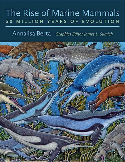 Vorderes Coverbild The Rise of Marine Mammals