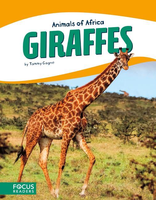 Vorderes Coverbild Giraffes