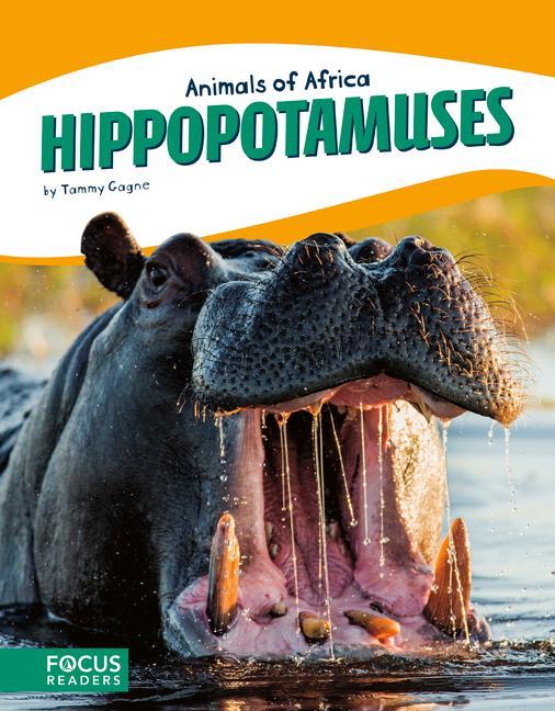 Vorderes Coverbild Hippopotamuses