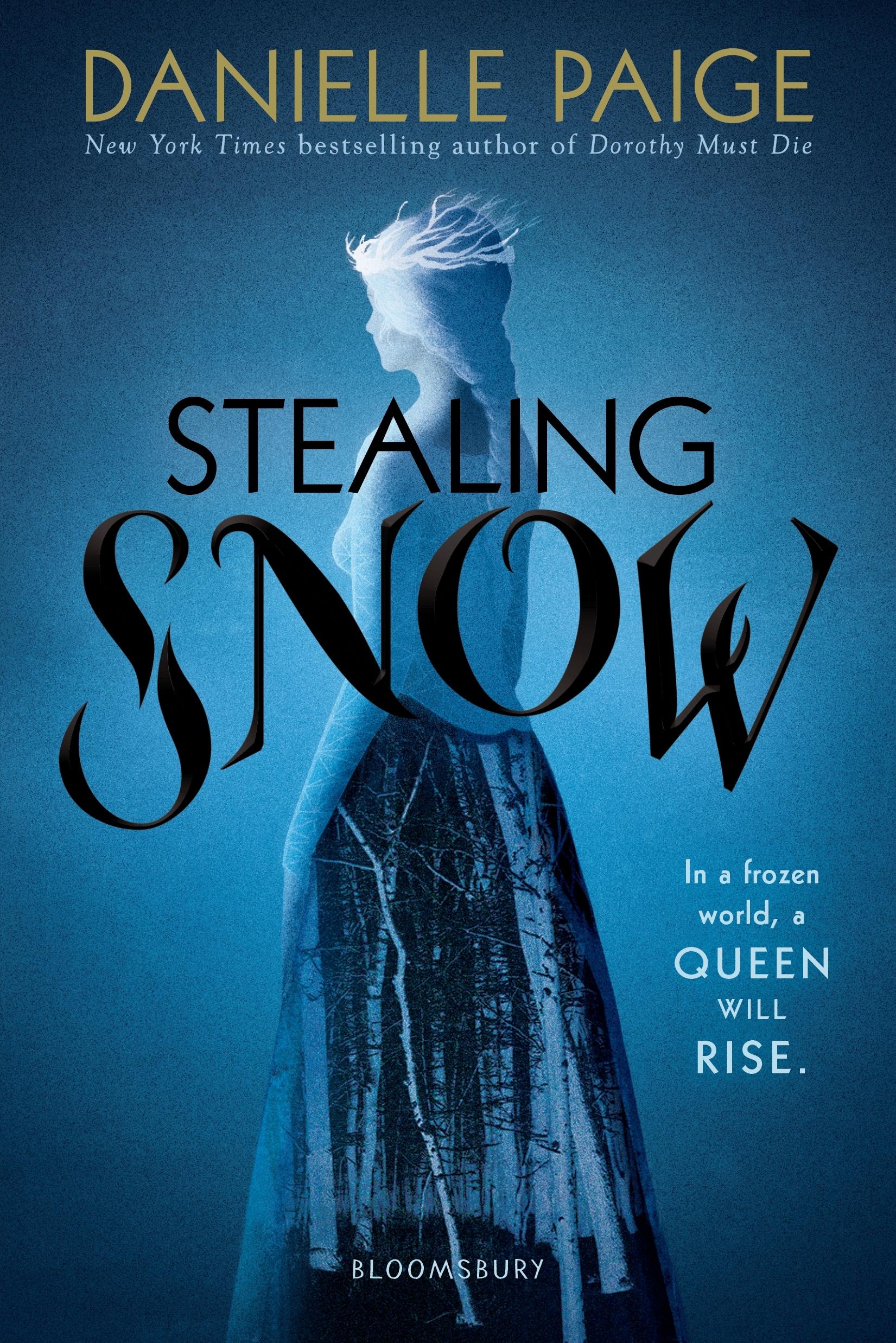 Vorderes Coverbild Stealing Snow