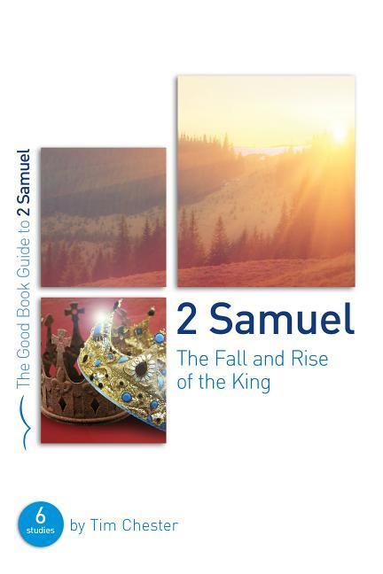 Vorderes Coverbild 2 Samuel: The Fall and Rise of the King
