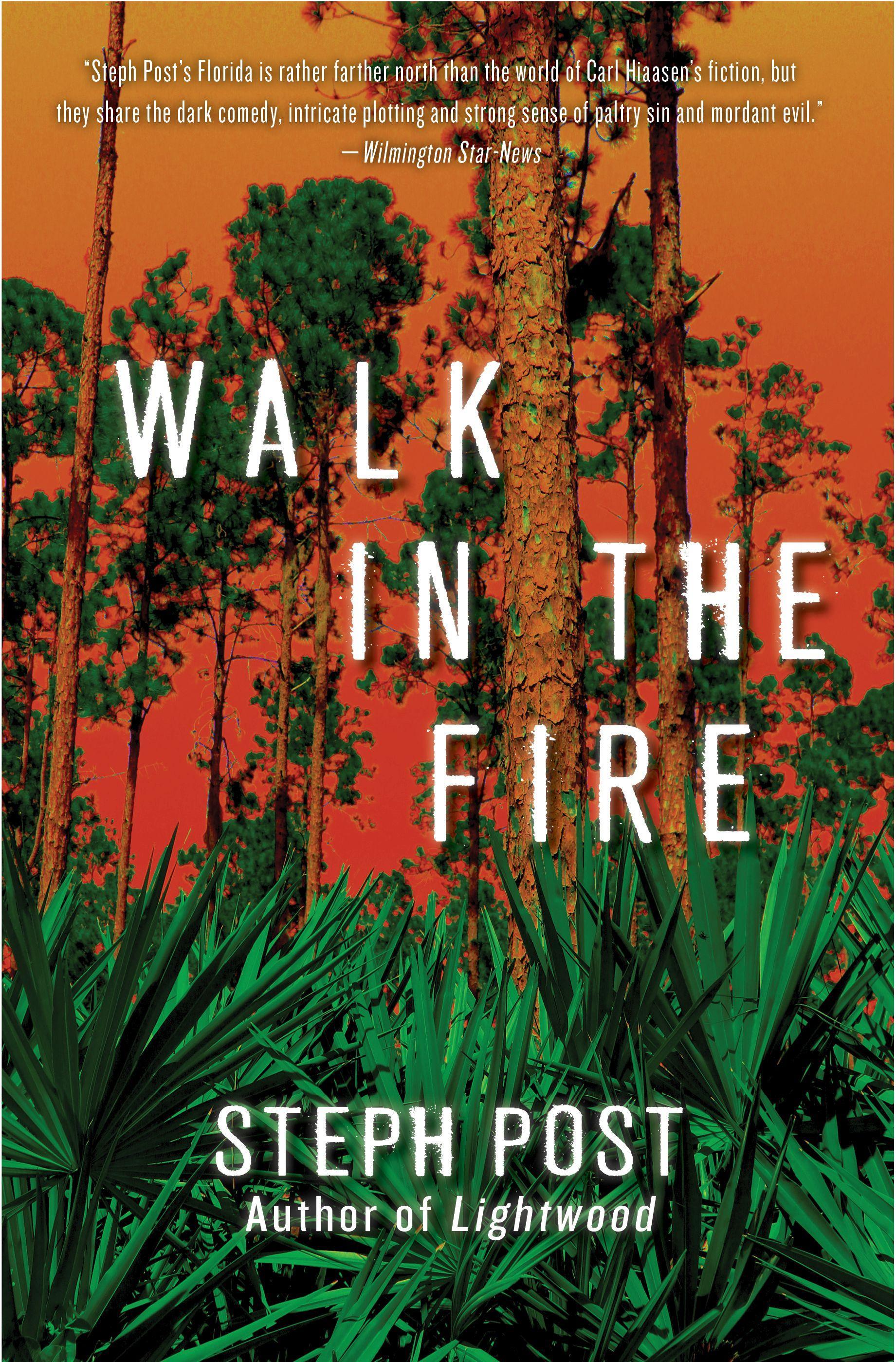 Vorderes Coverbild Walk in the Fire
