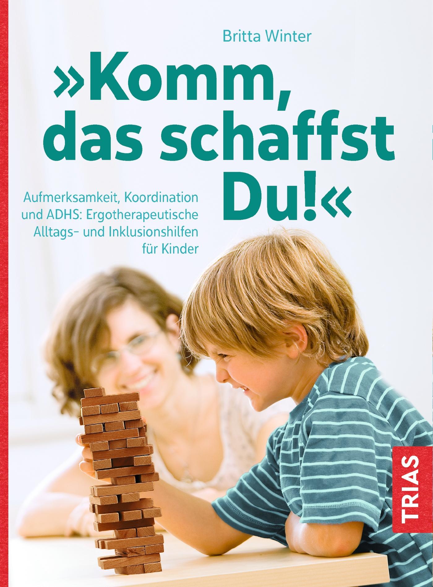 Vorderes Coverbild Komm, das schaffst Du!