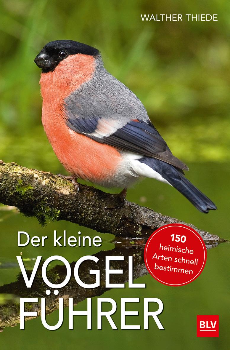 Vorderes Coverbild Der kleine Vogelführer