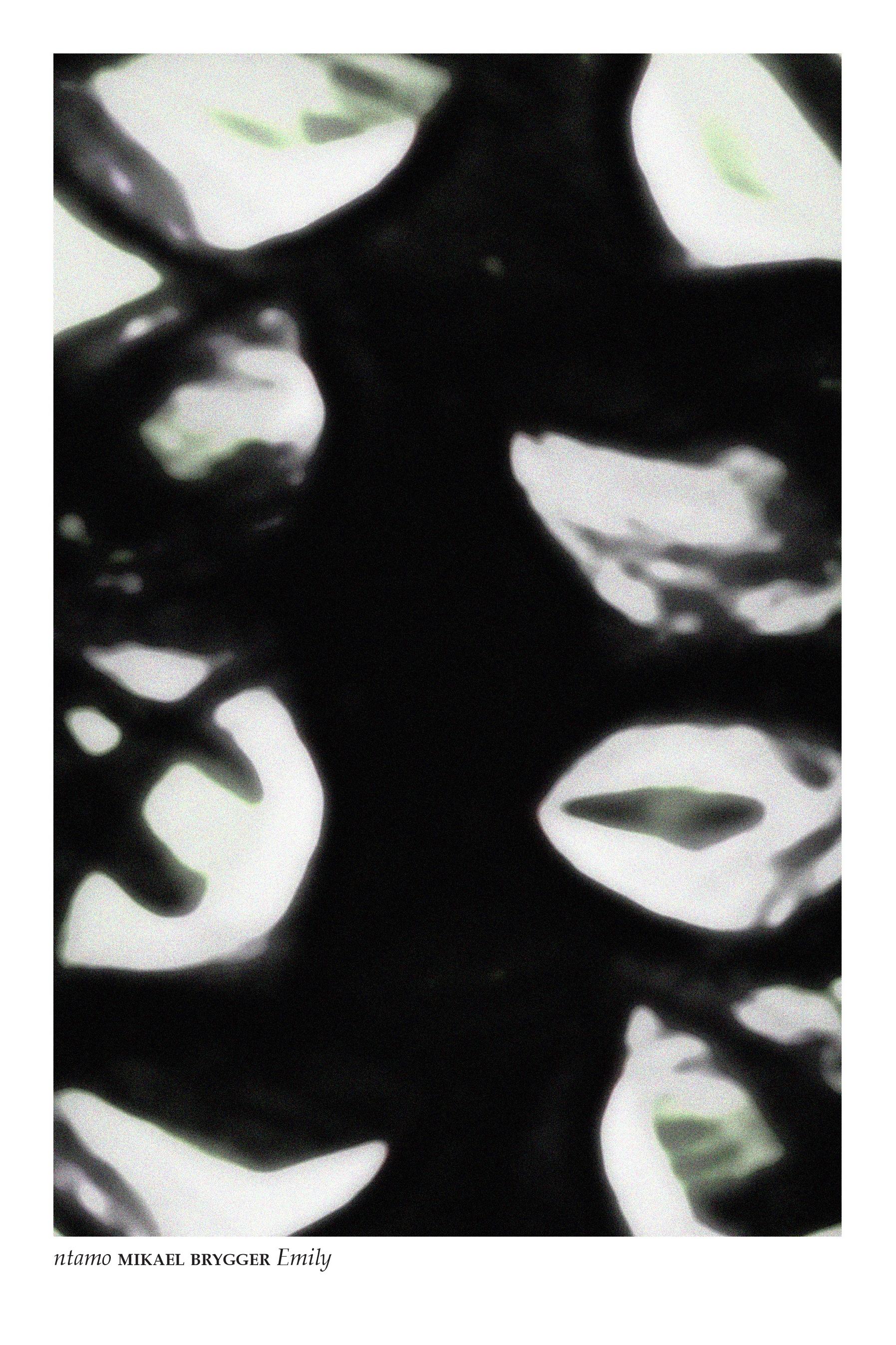 Vorderes Coverbild Emily