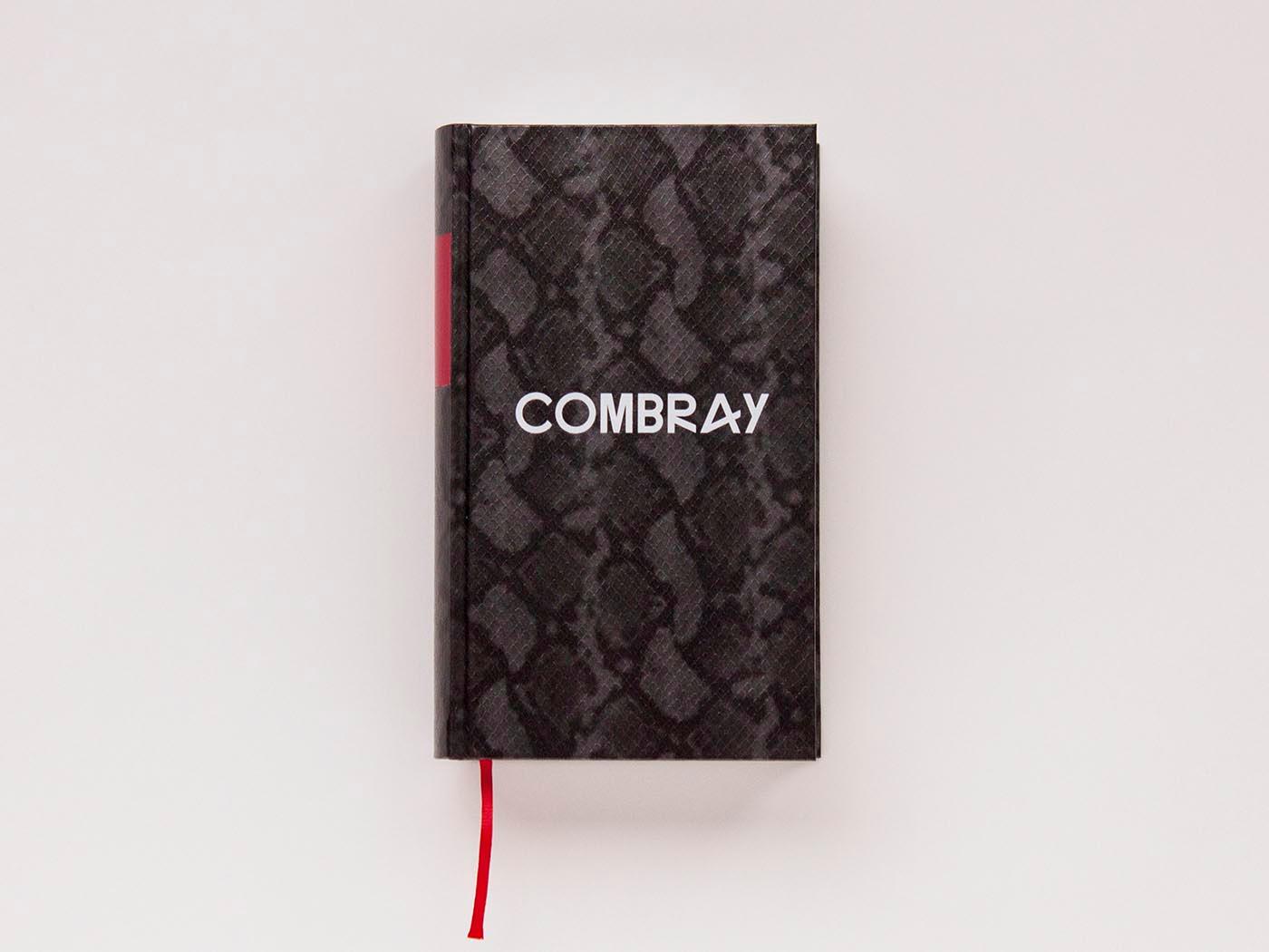 Beispielinhalt (Bild) Das Flimmern des Herzens