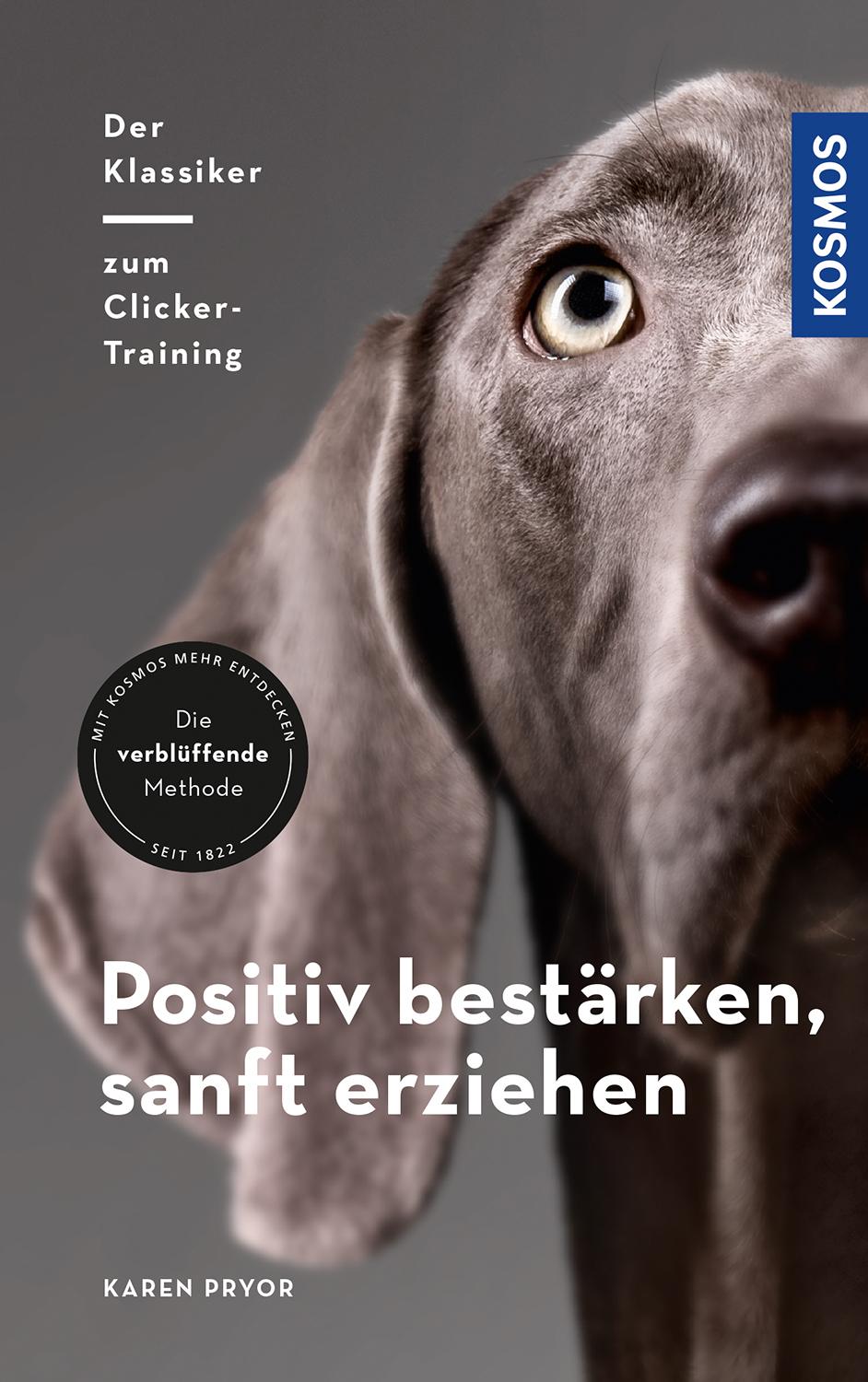 Vorderes Coverbild Positiv bestärken - sanft erziehen
