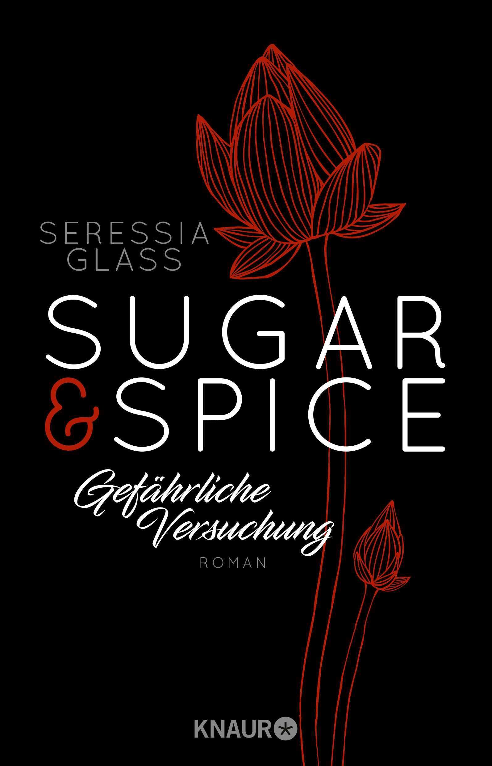 Vorderes Coverbild Sugar & Spice - Gefährliche Versuchung