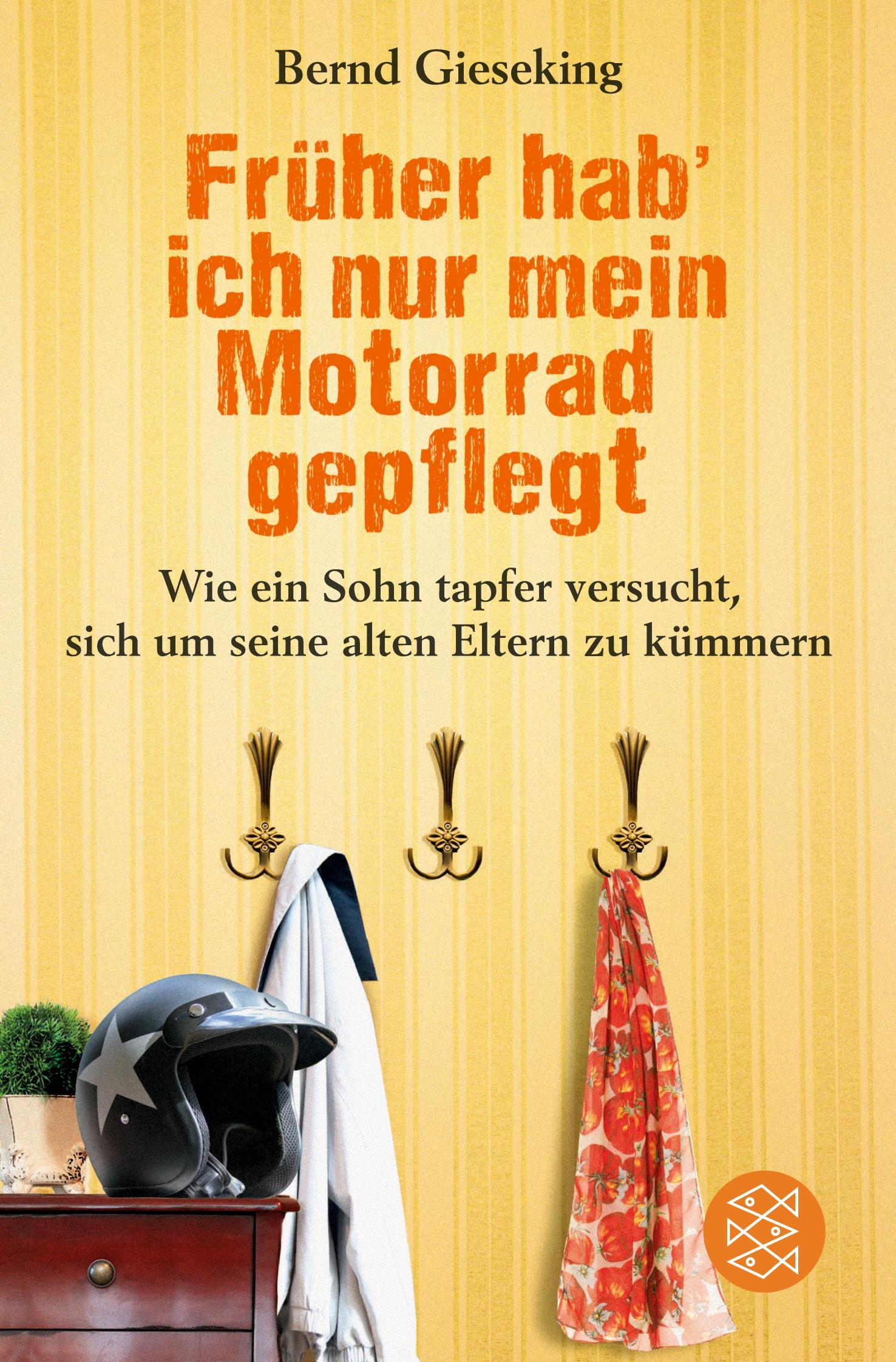 Vorderes Coverbild Früher hab' ich nur mein Motorrad gepflegt
