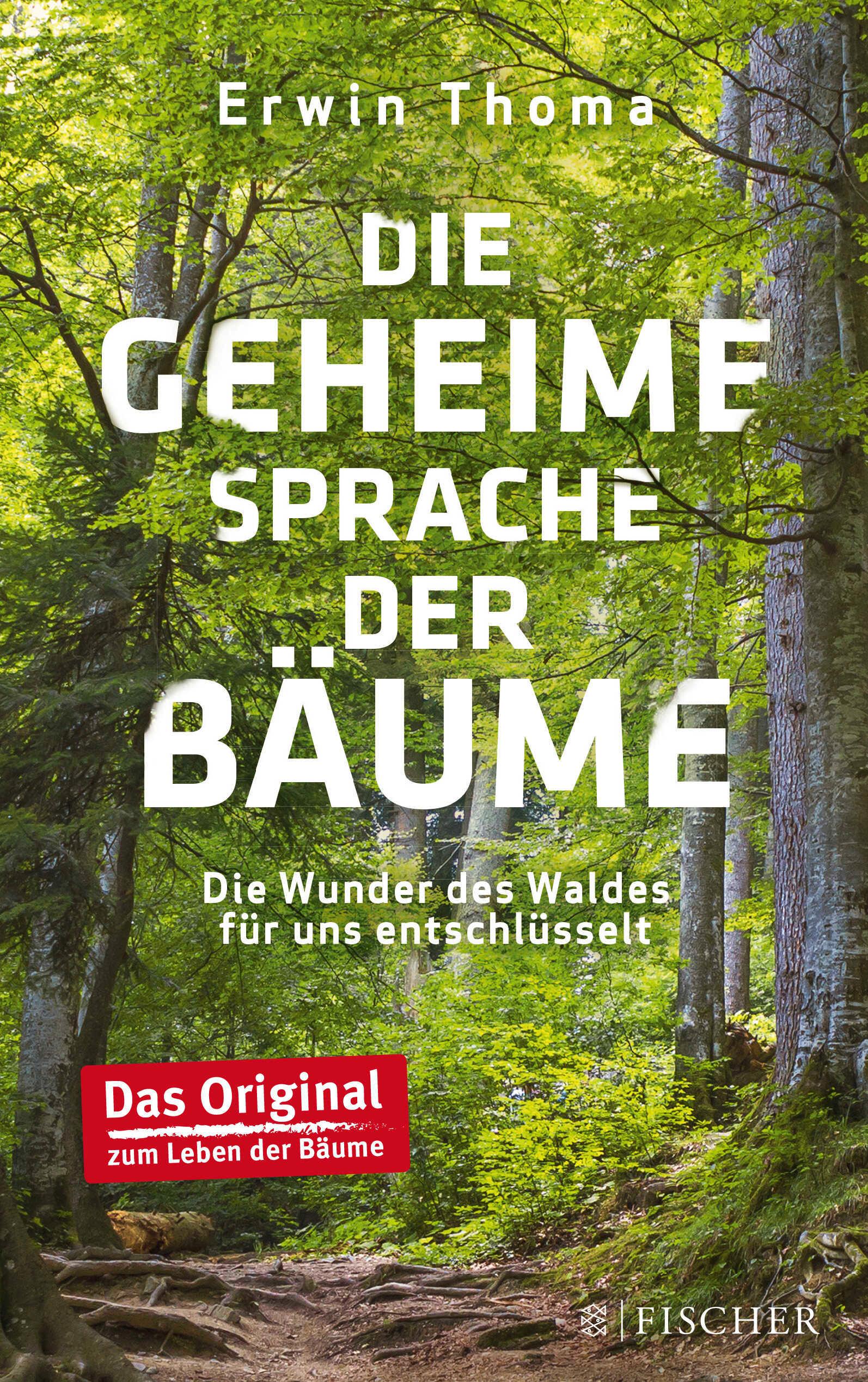 Vorderes Coverbild Die geheime Sprache der Bäume