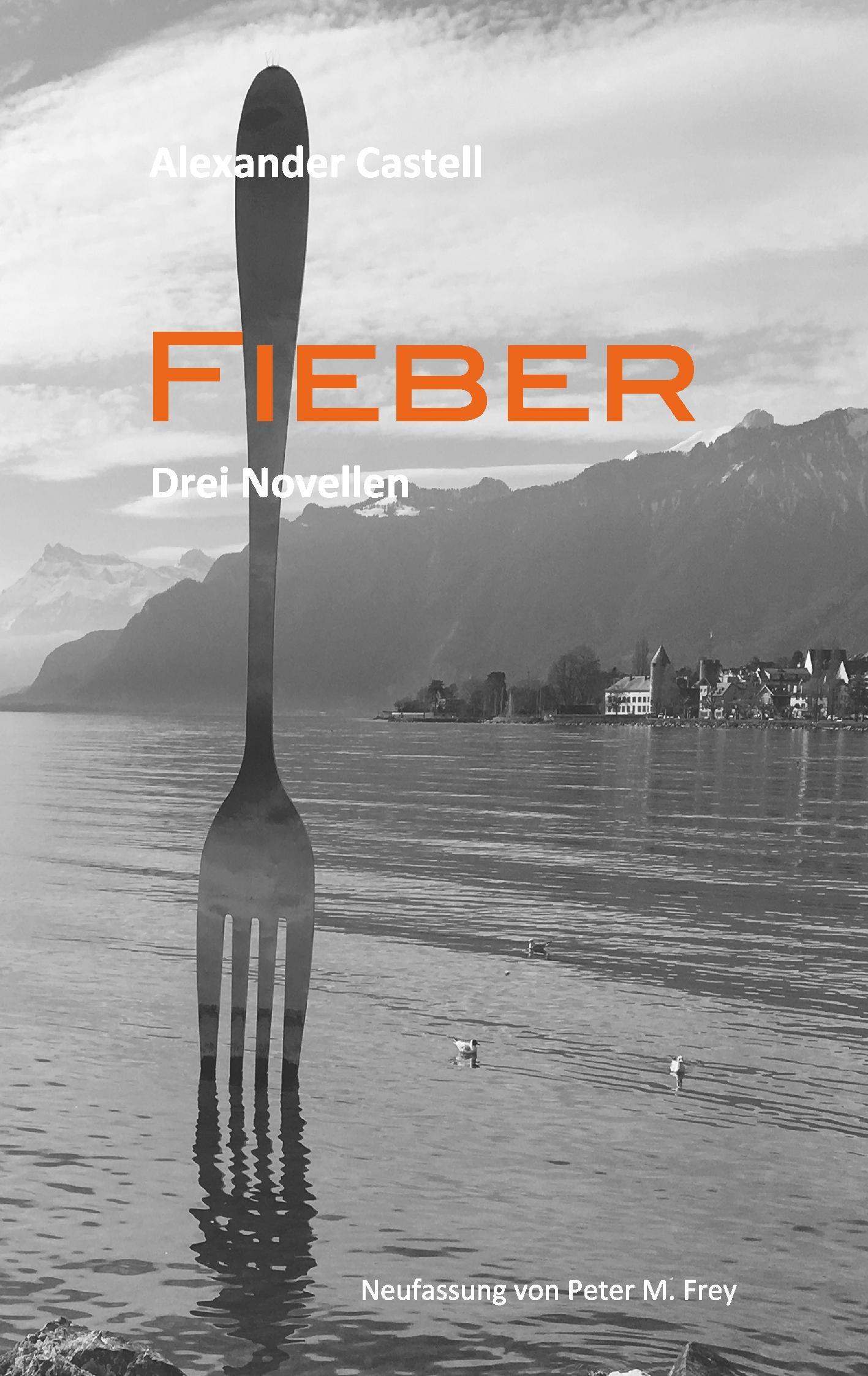 Vorderes Coverbild Fieber