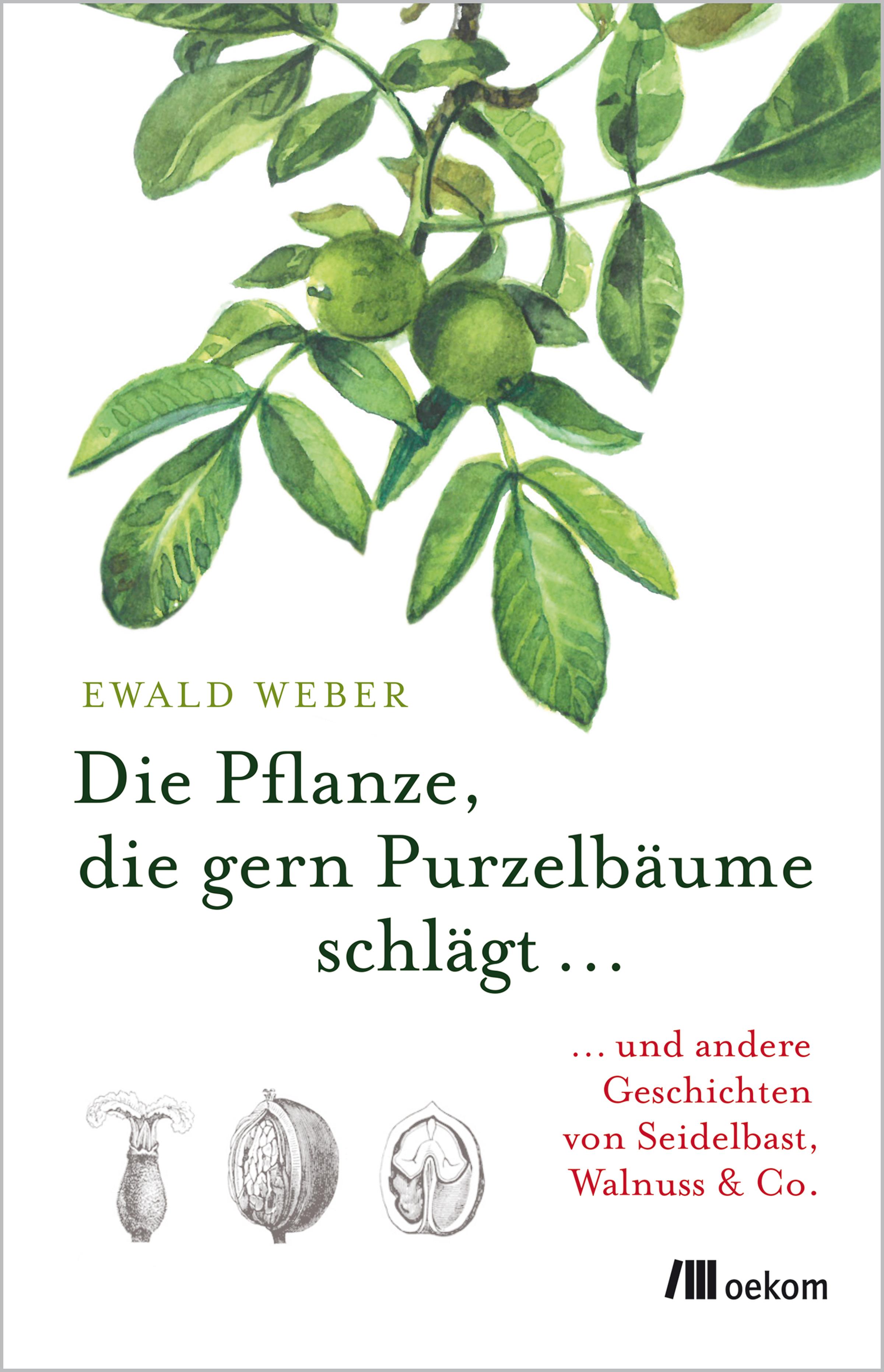 Vorderes Coverbild Die Pflanze, die gern Purzelbäume schlägt ...