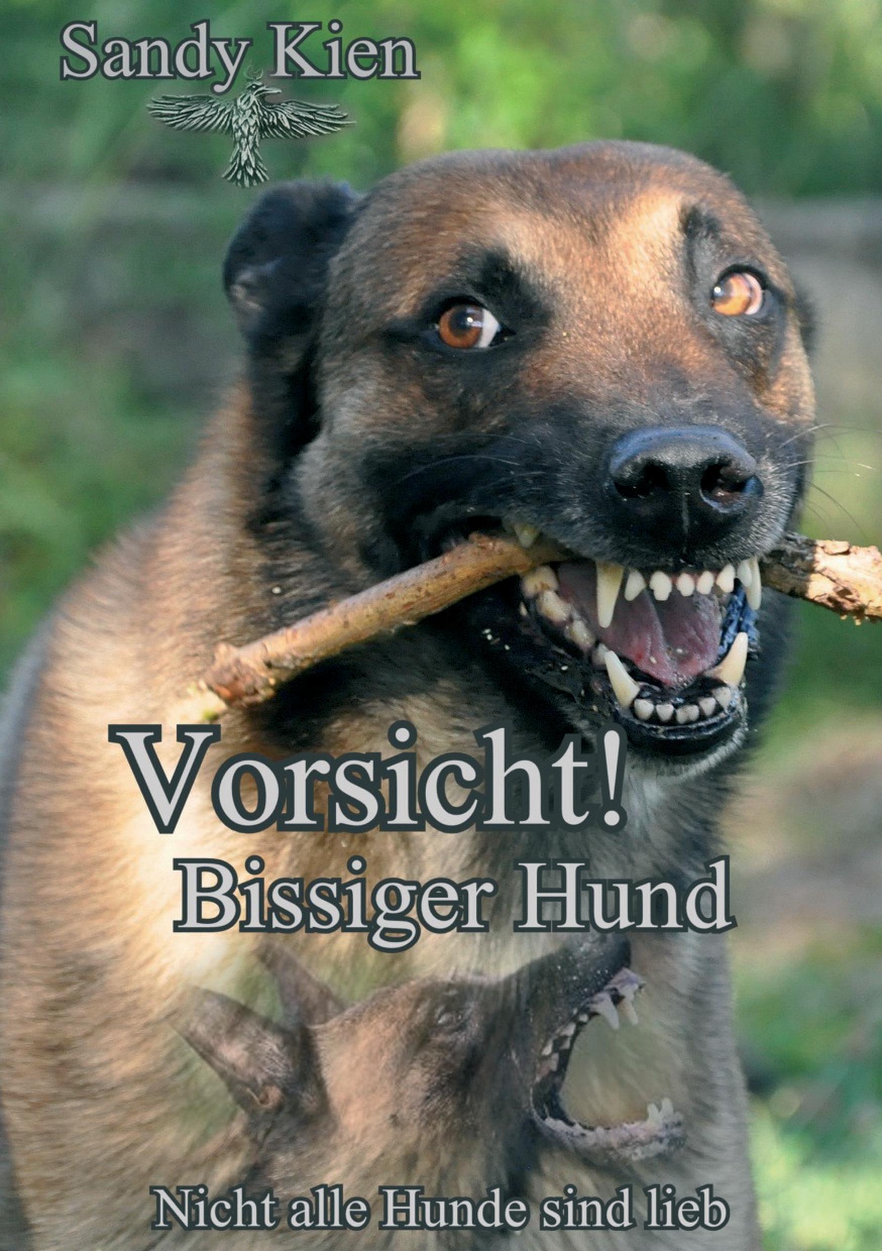 Vorderes Coverbild Vorsicht, bissiger Hund!