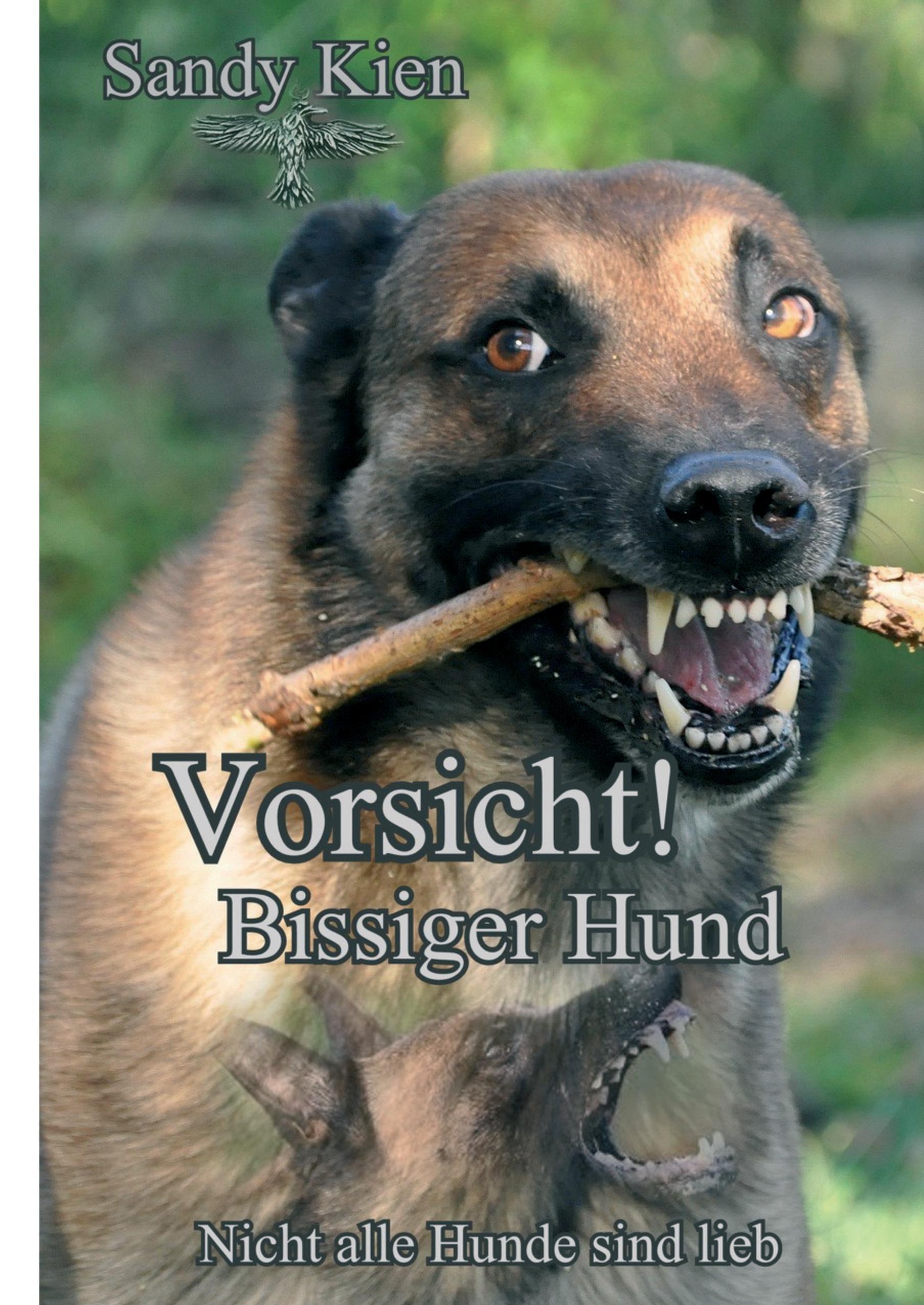 Vorderes Coverbild Vorsicht, bissiger Hund!