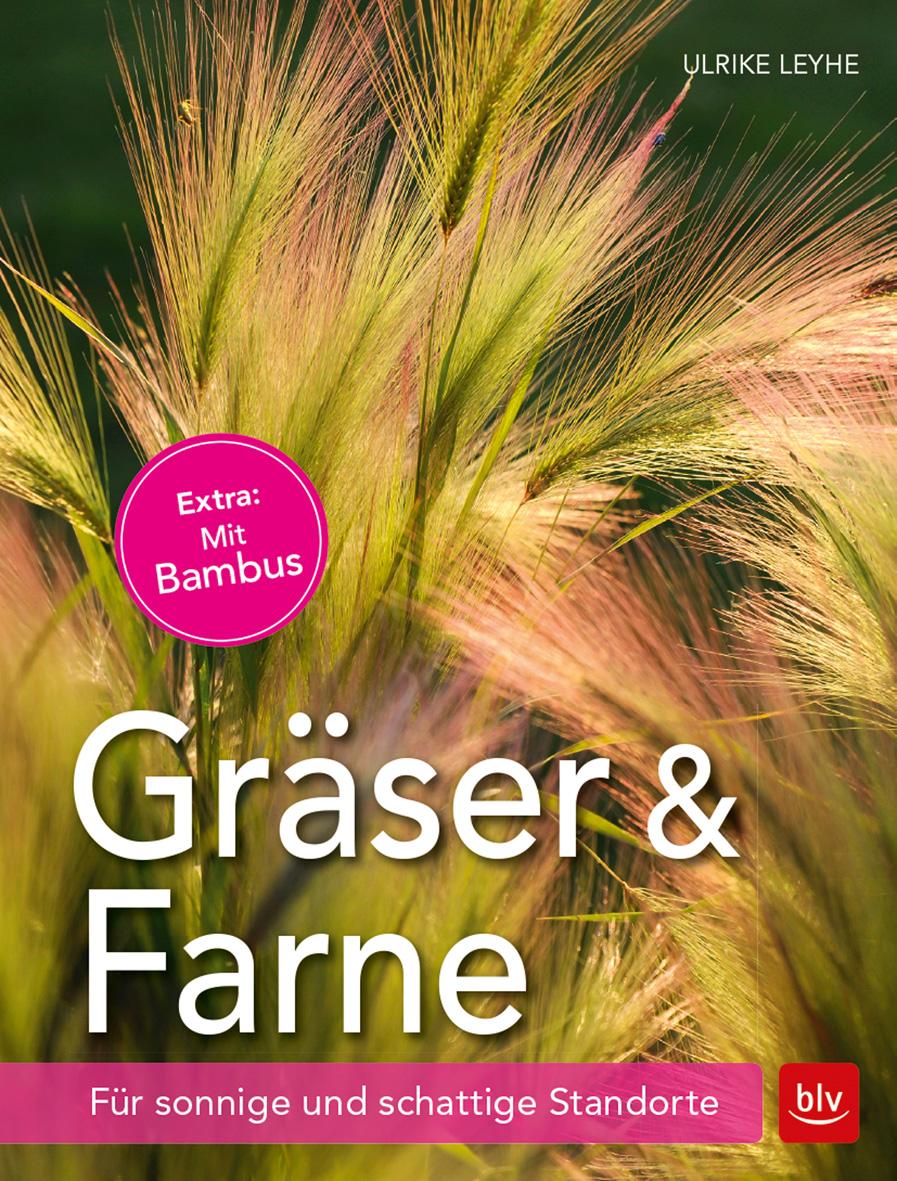 Vorderes Coverbild Gräser und Farne