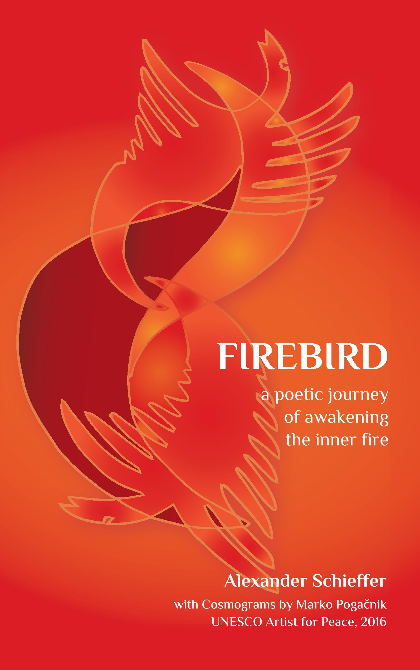 Vorderes Coverbild Firebird