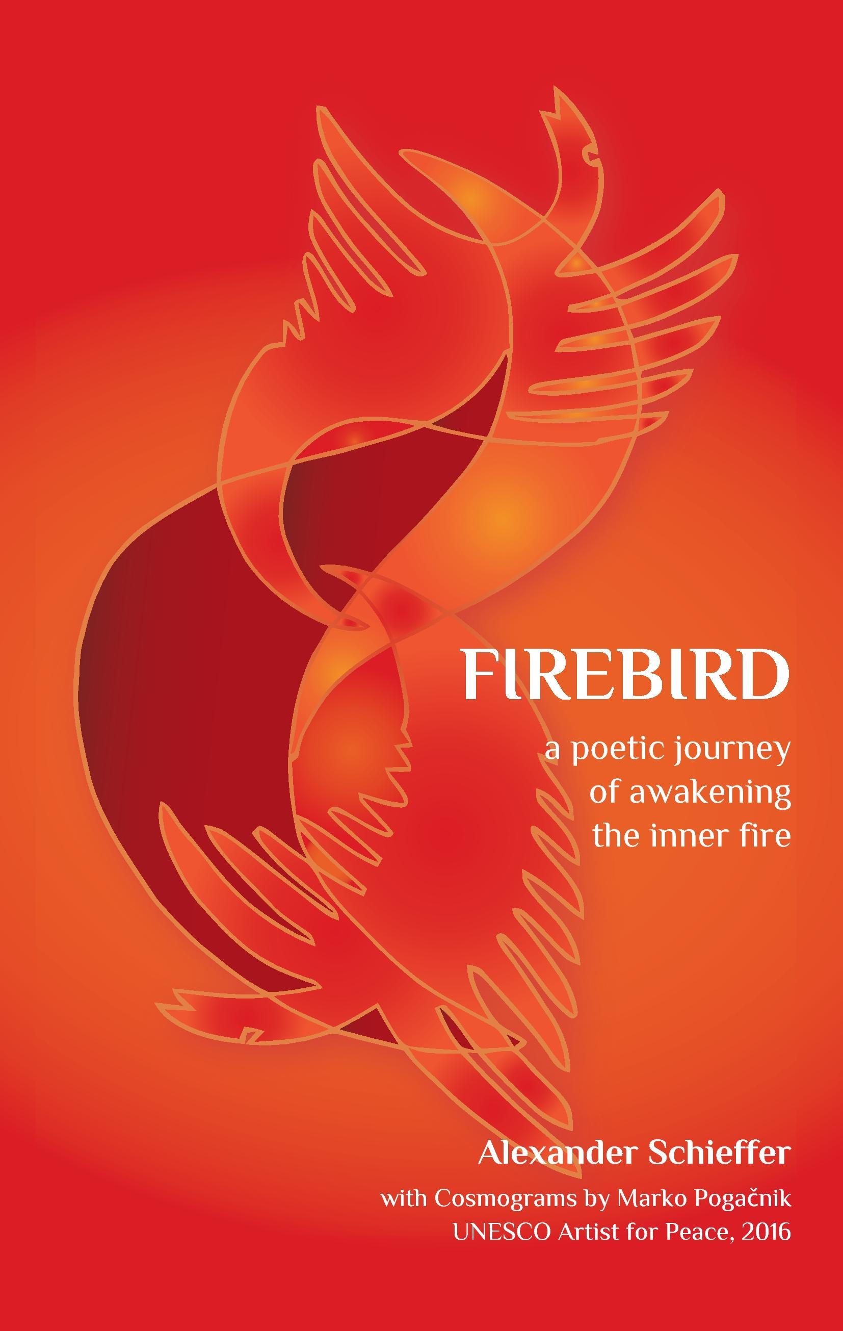 Vorderes Coverbild Firebird