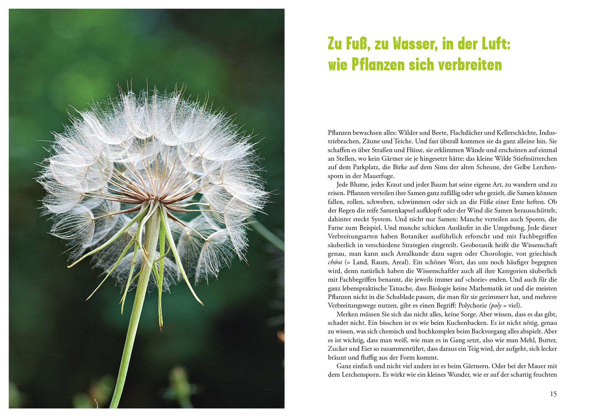 Beispielinhalt (Bild) Selbst ist die Pflanze