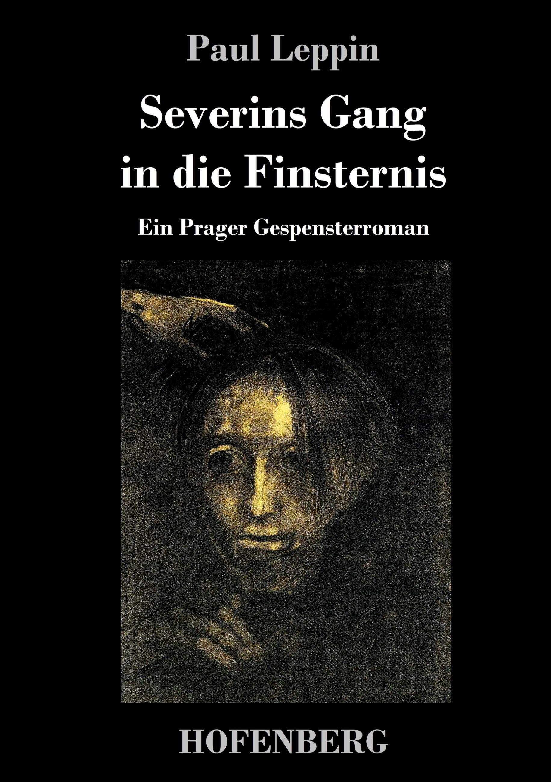 Vorderes Coverbild Severins Gang in die Finsternis
