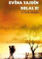 Vorderes Coverbild Evina Tajdin Delal E