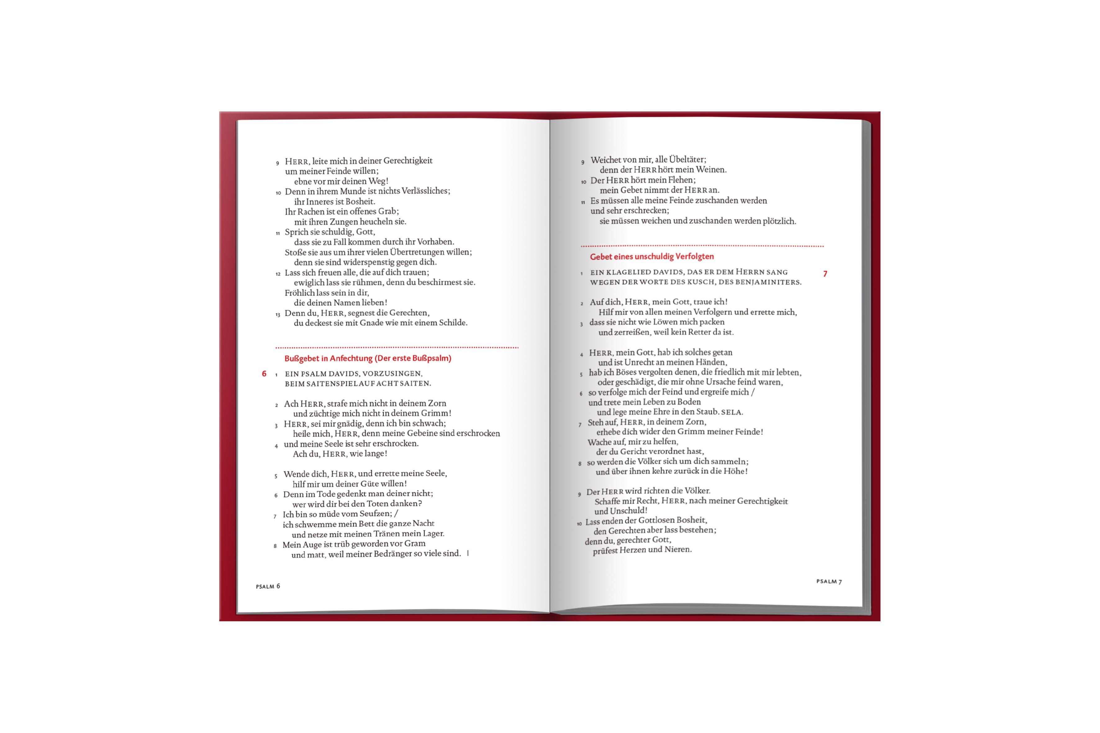 Beispielinhalt (Bild) Der Psalter