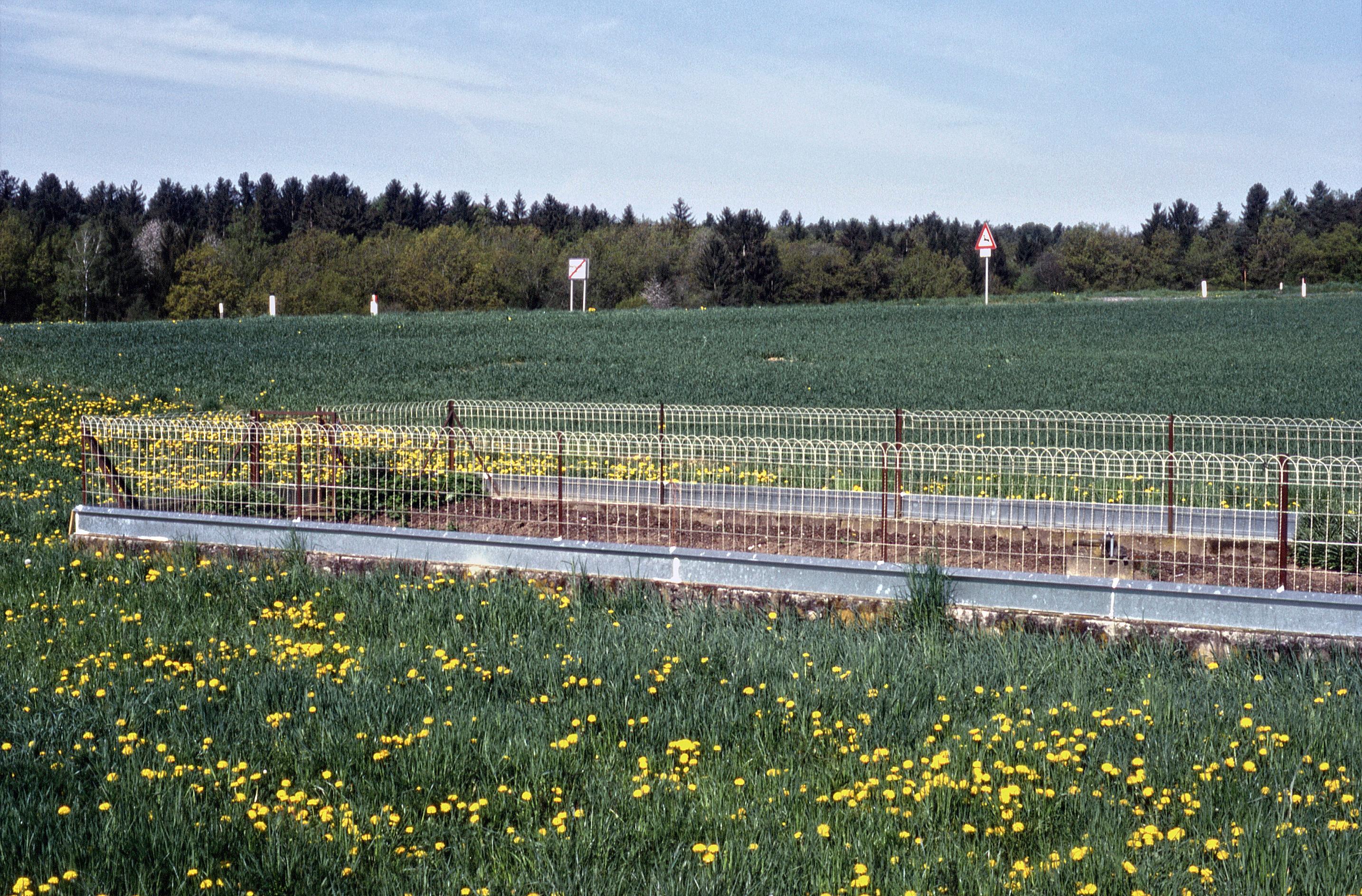 Beispielinhalt (Bild) Schnecken