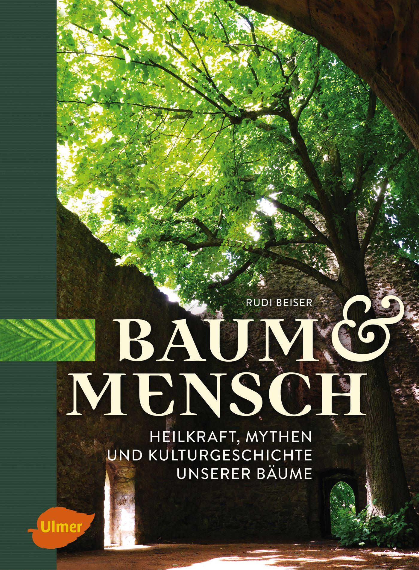 Vorderes Coverbild Baum und Mensch