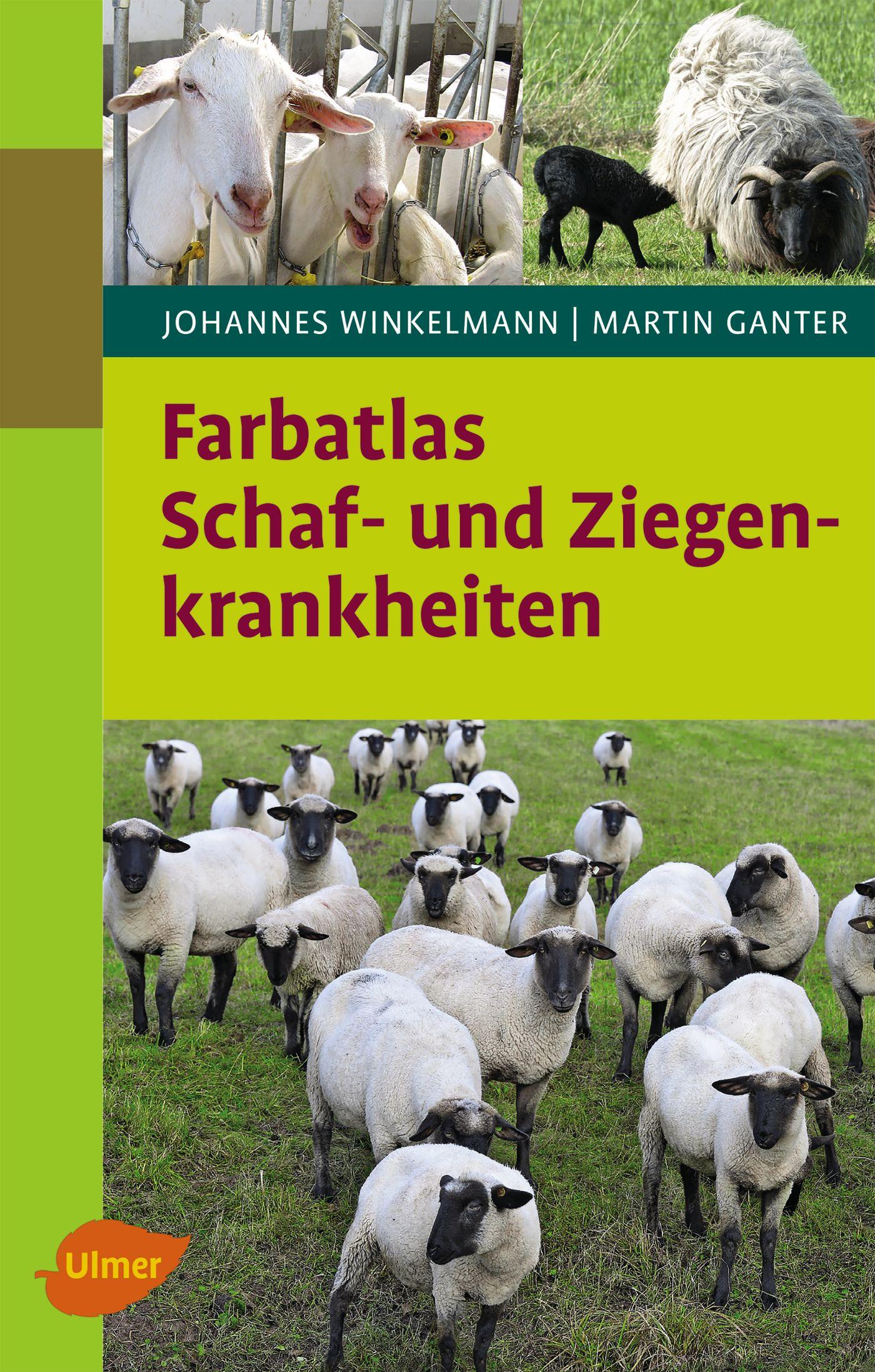 Vorderes Coverbild Farbatlas Schaf- und Ziegenkrankheiten