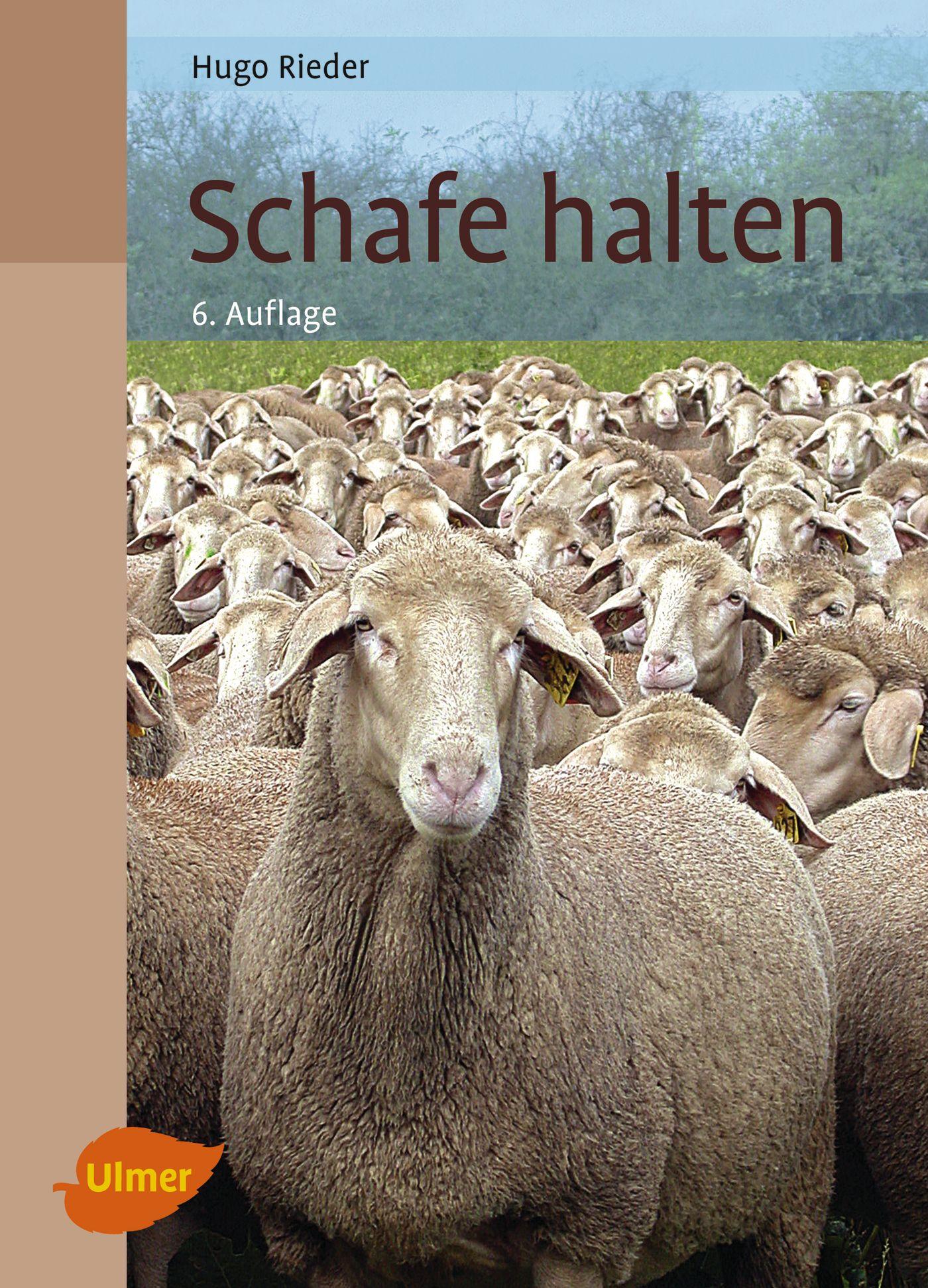 Vorderes Coverbild Schafe halten