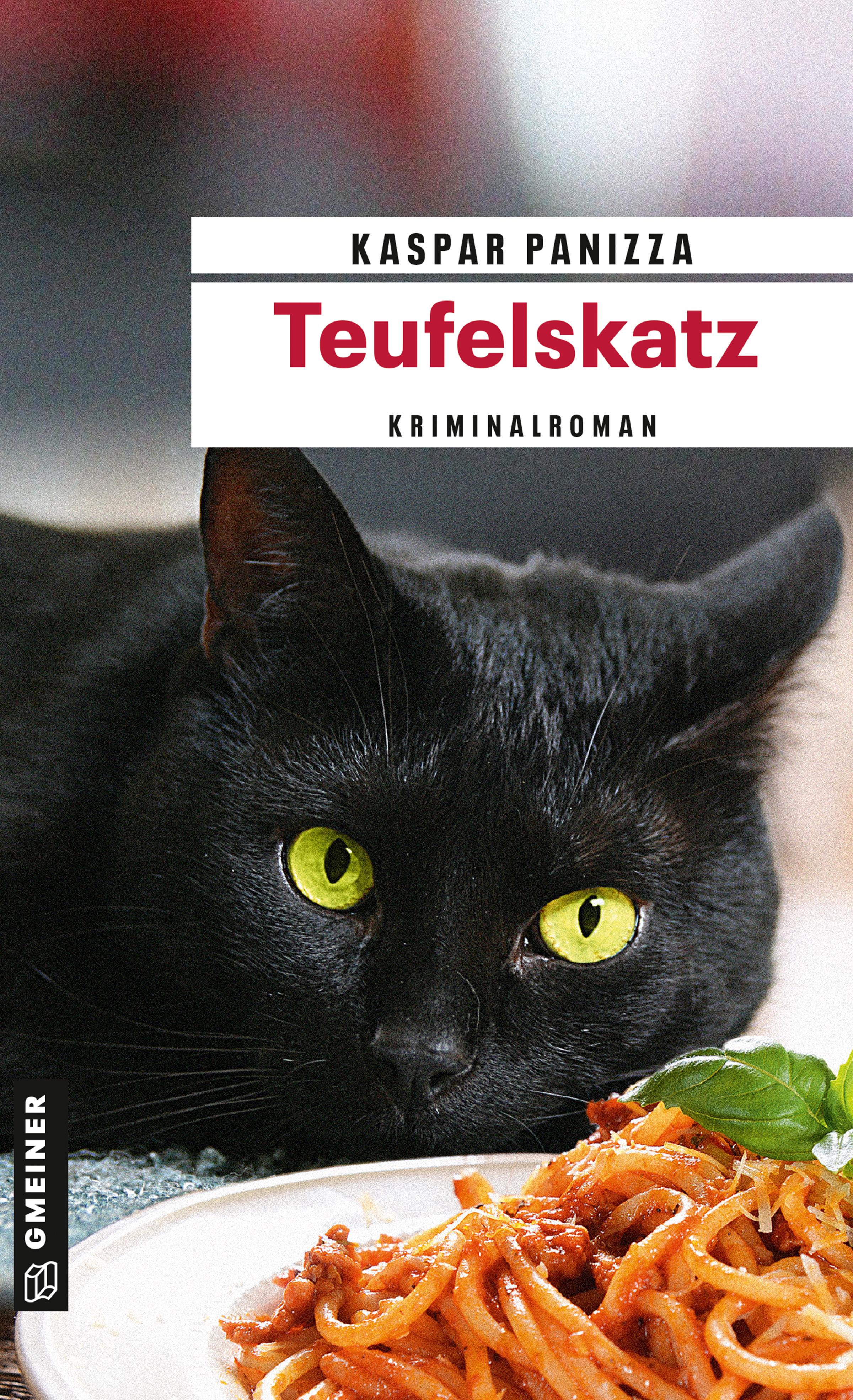 Vorderes Coverbild Teufelskatz