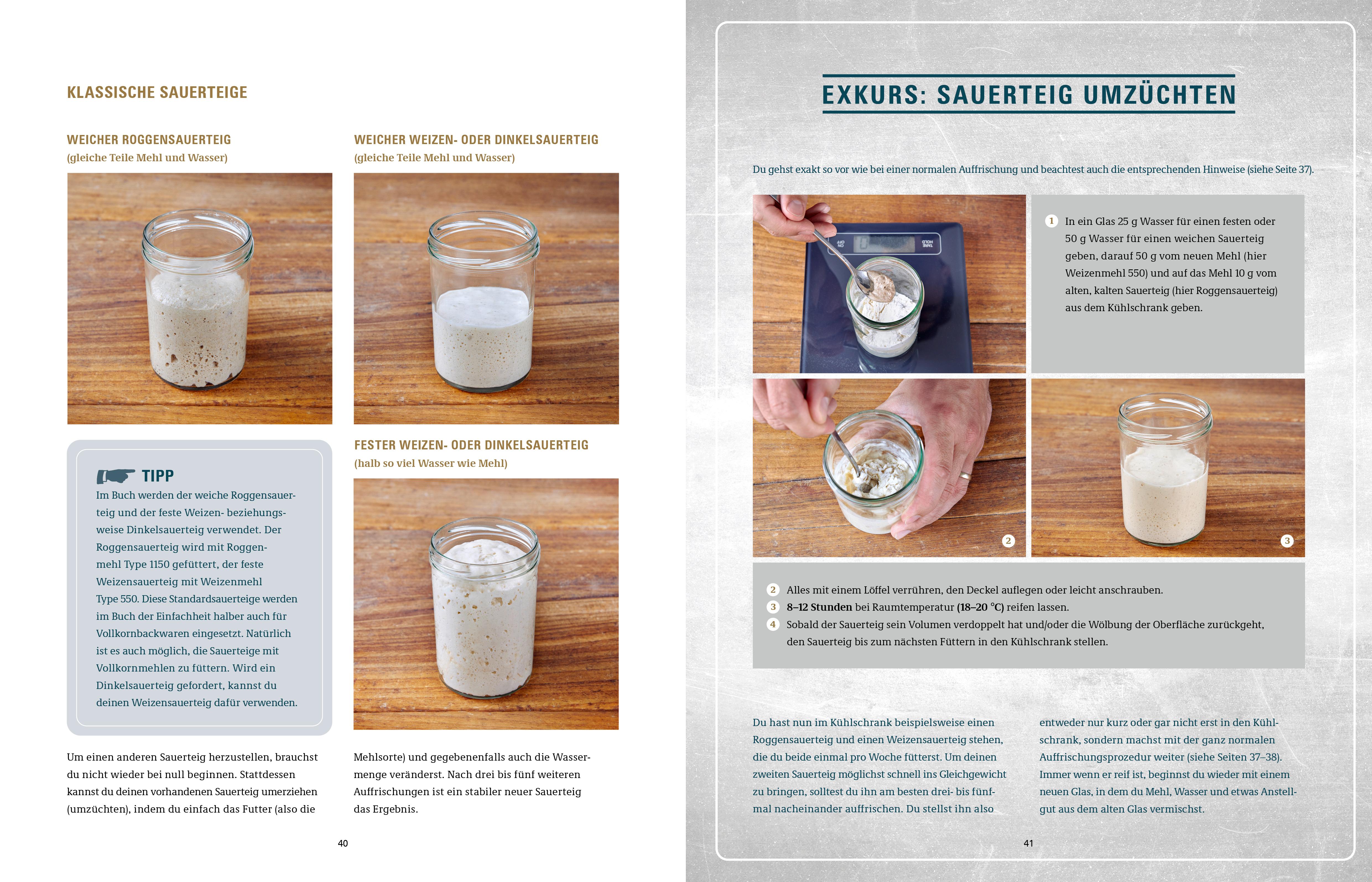 Beispielinhalt (Bild) Brot backen in Perfektion mit Sauerteig
