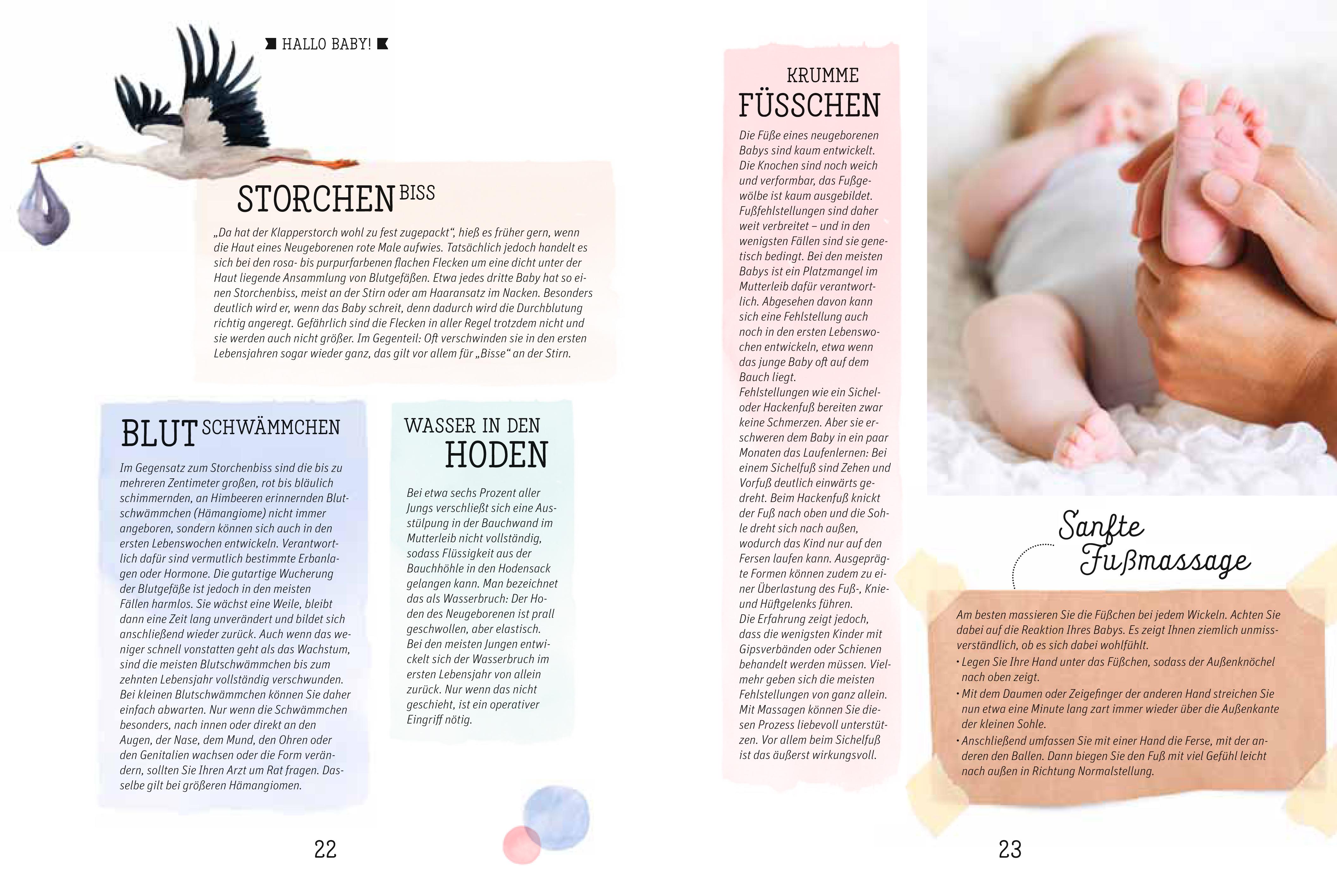 Beispielinhalt (Bild) Gesund von Anfang an