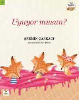 Vorderes Coverbild Uyuyor musun