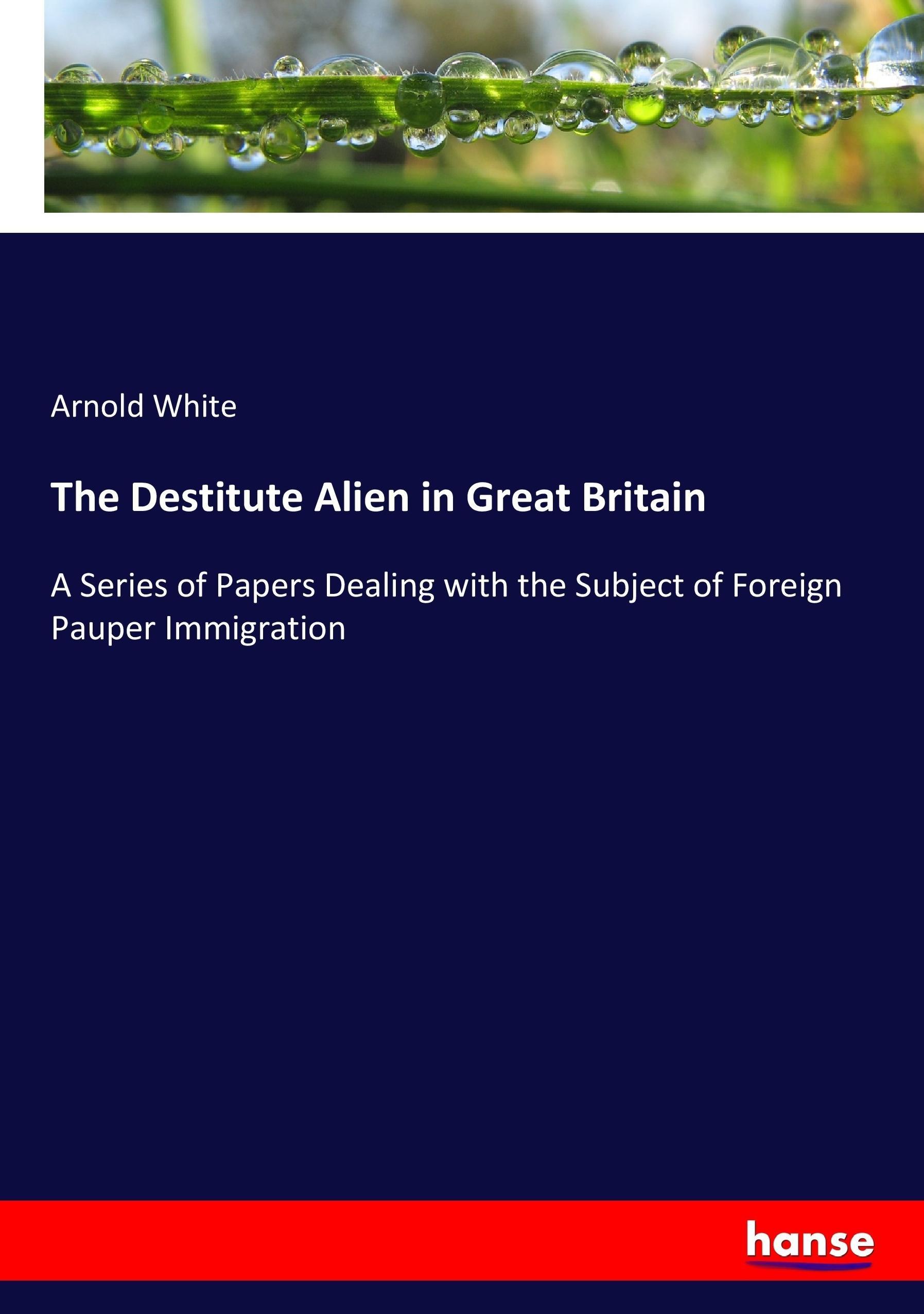 Vorderes Coverbild The Destitute Alien in Great Britain