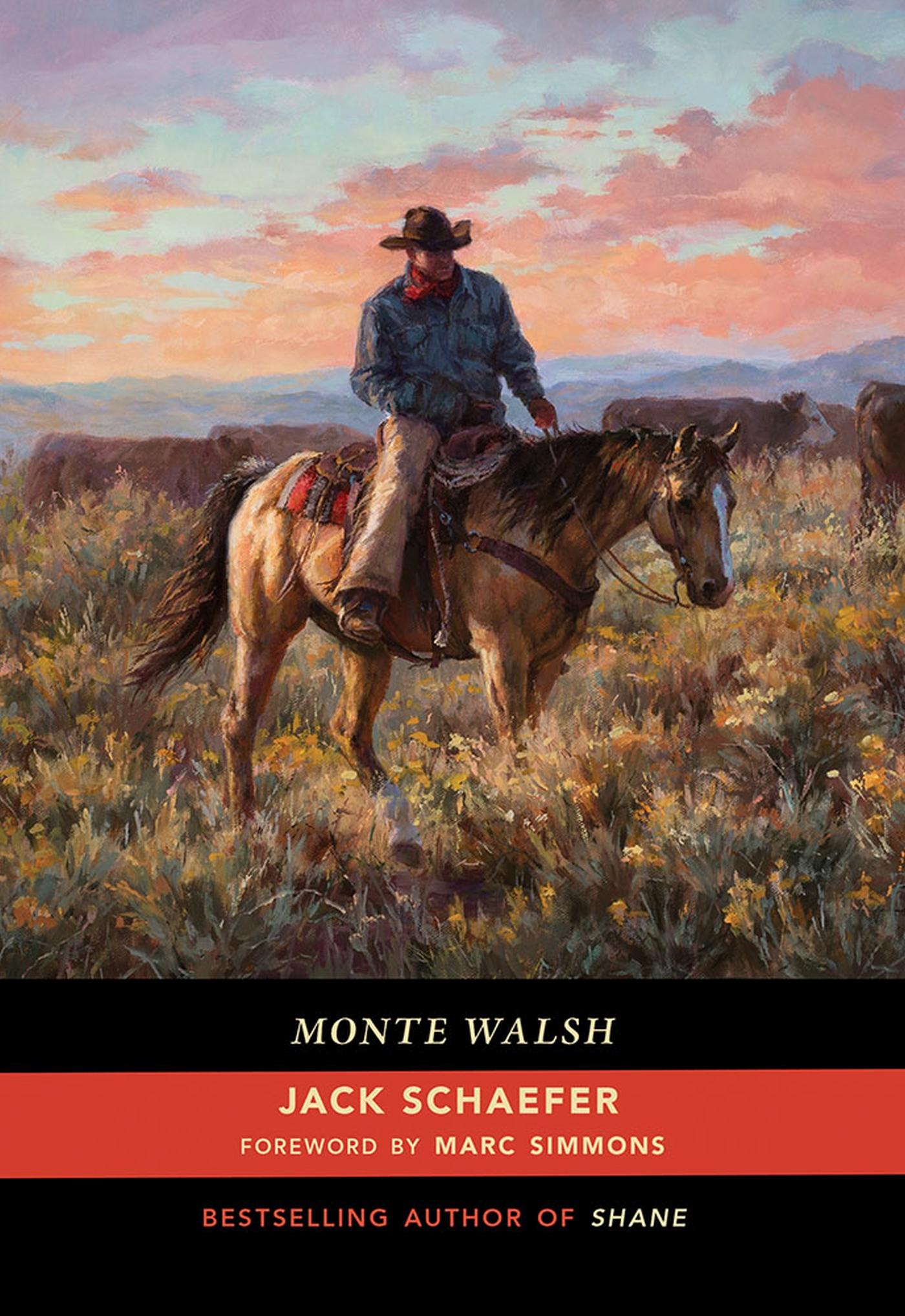 Vorderes Coverbild Monte Walsh