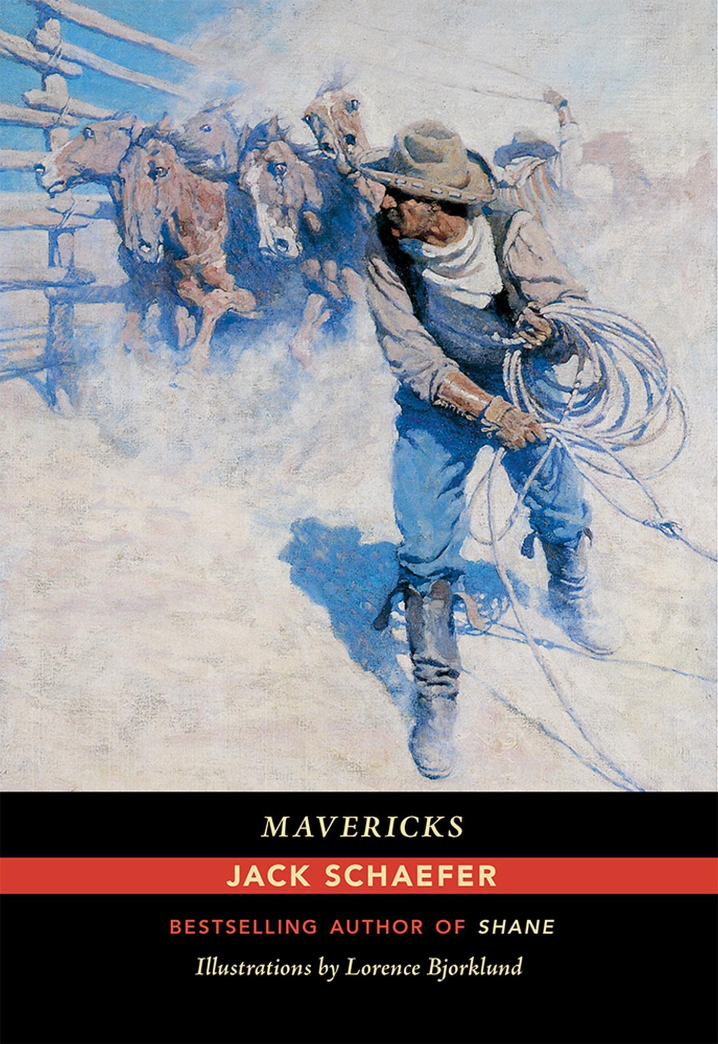 Vorderes Coverbild Mavericks