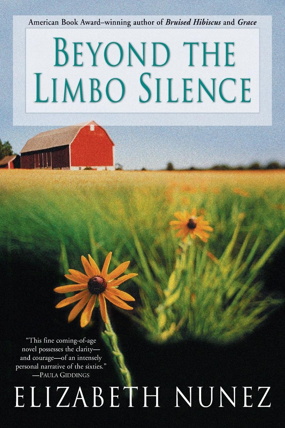 Vorderes Coverbild Beyond The Limbo Silence