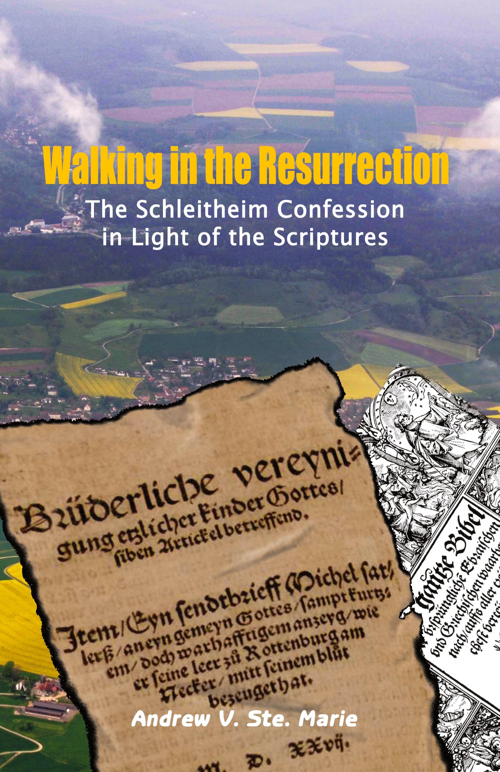 Vorderes Coverbild Walking in the Resurrection