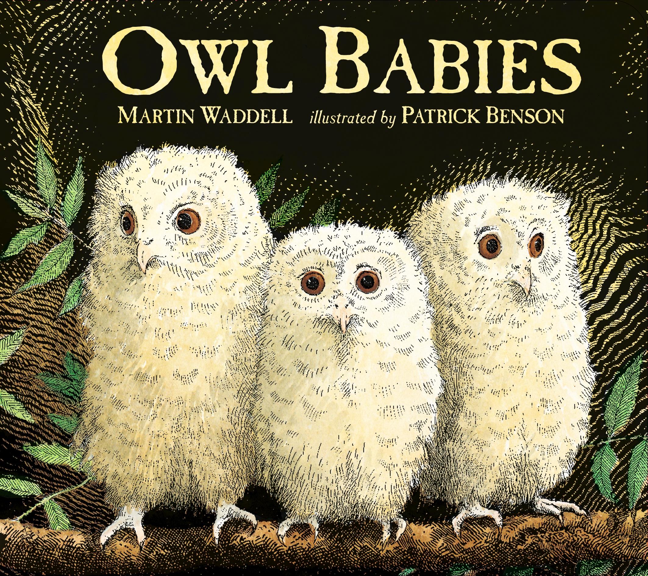 Vorderes Coverbild Owl Babies