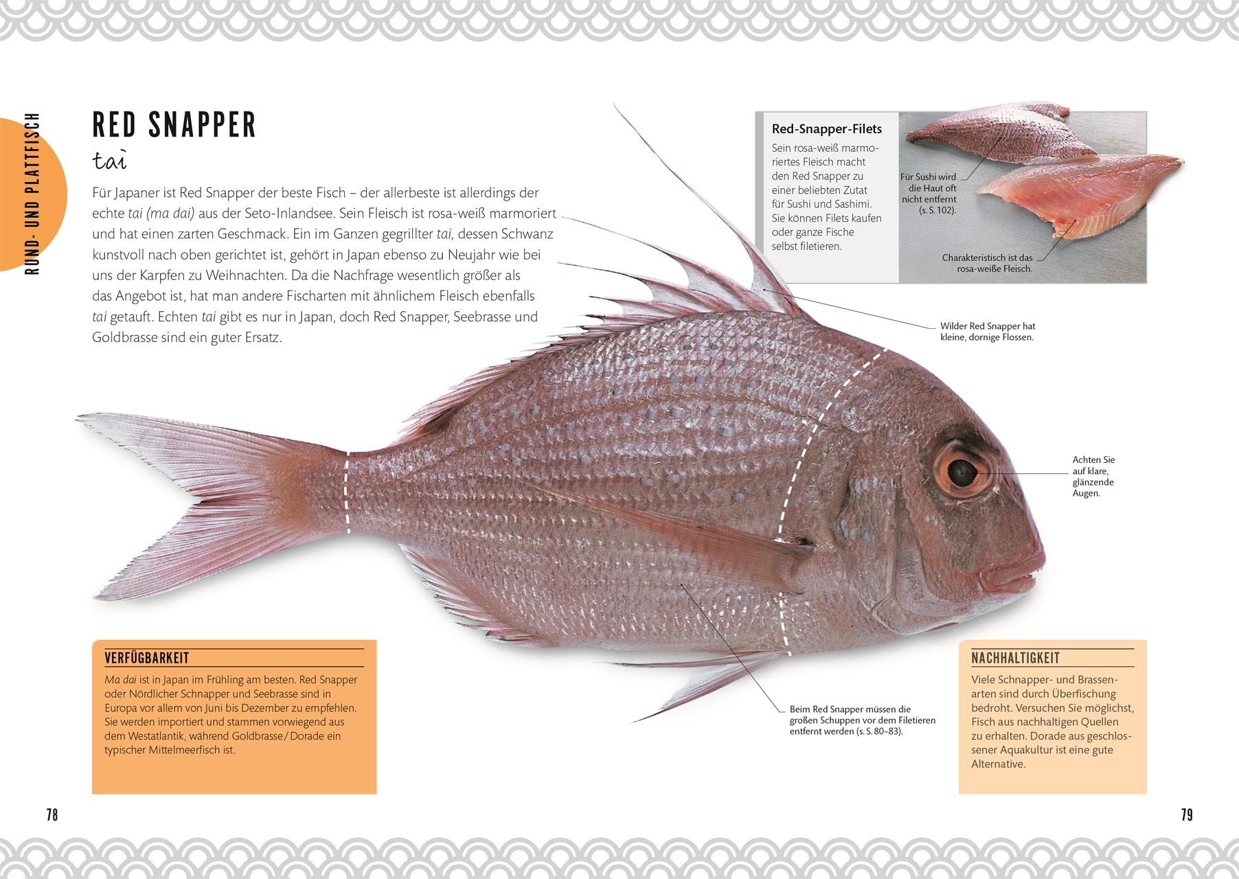 Beispielinhalt (Bild) Sushi