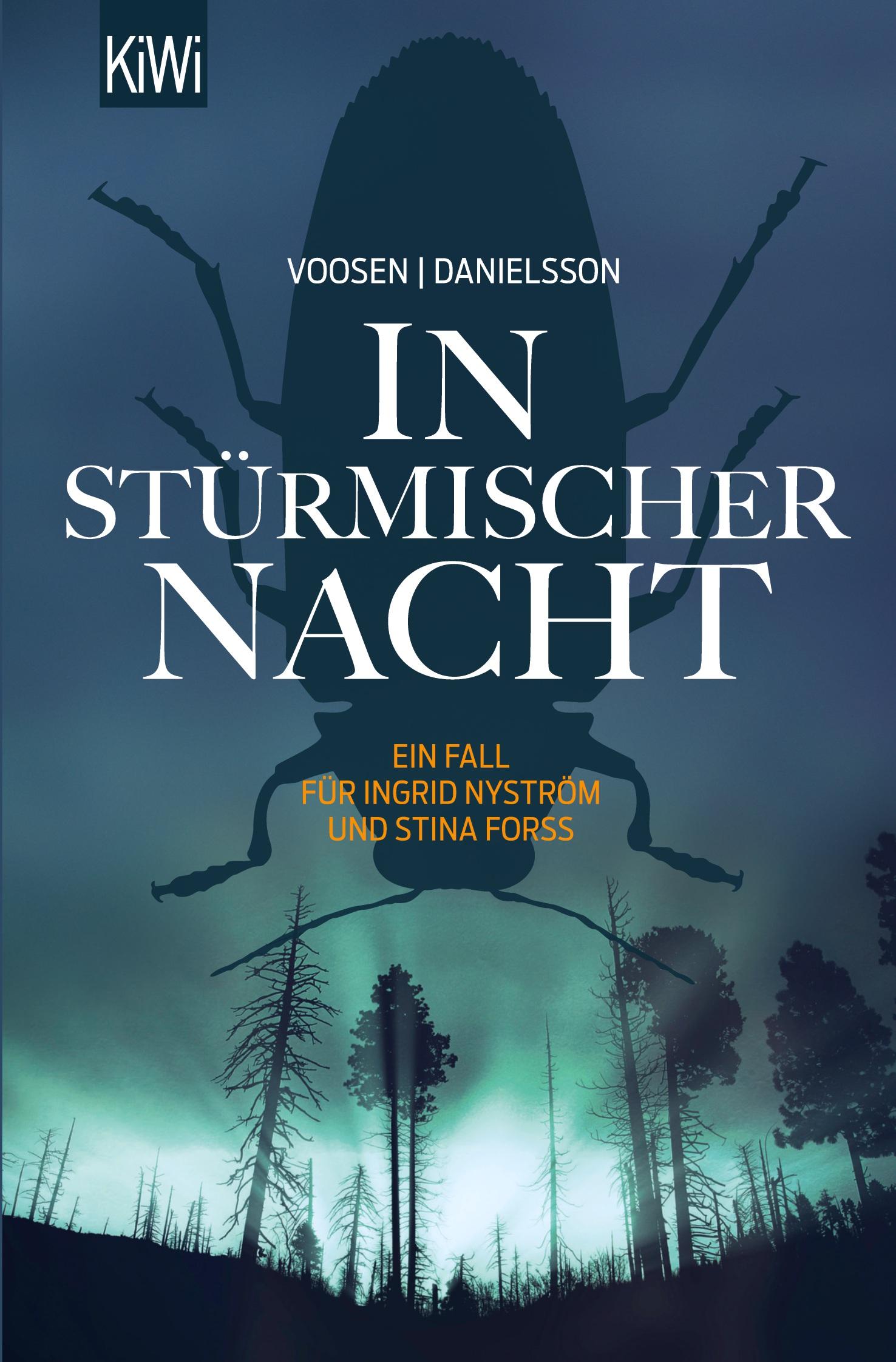 Vorderes Coverbild In stürmischer Nacht
