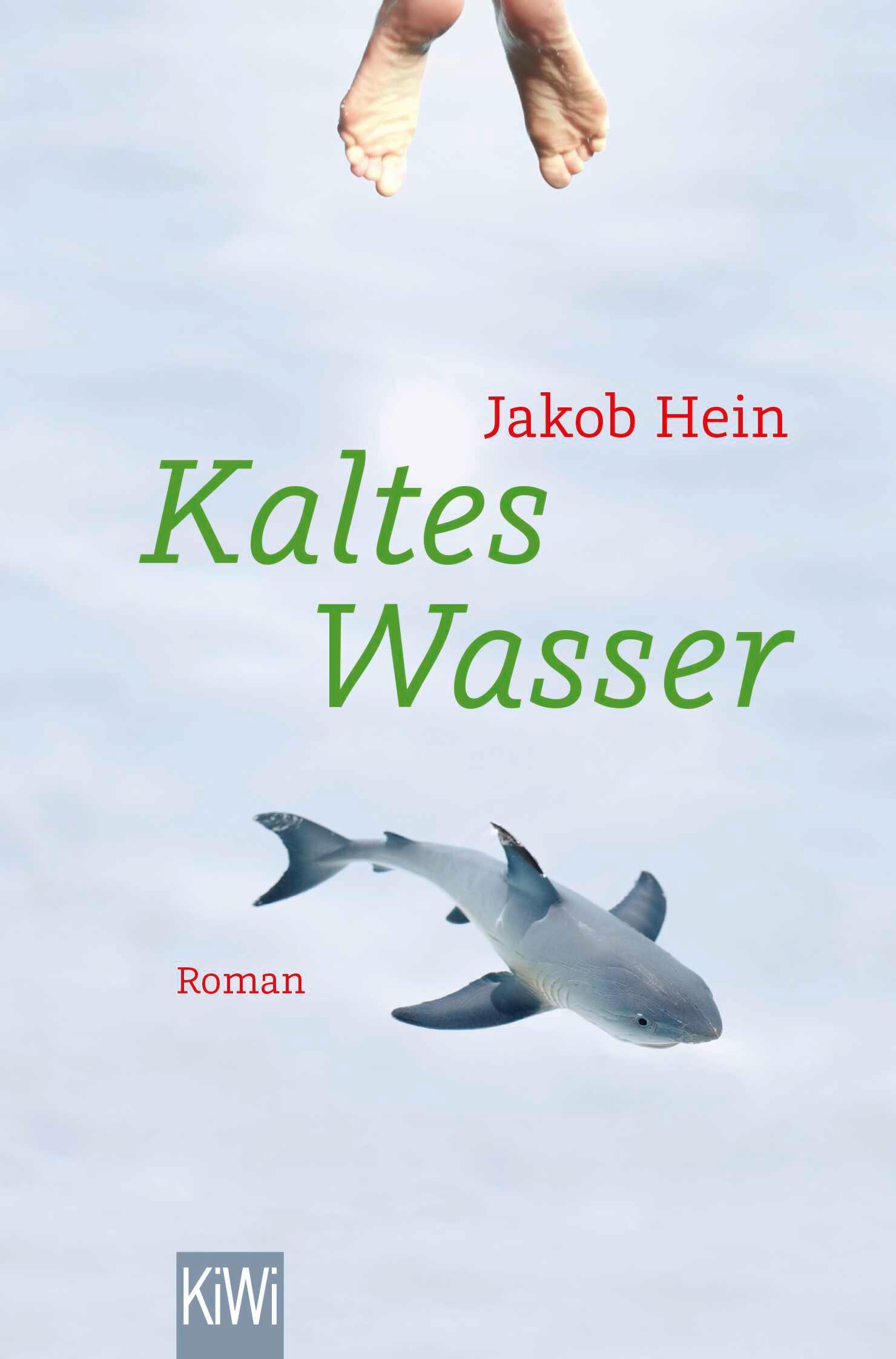 Vorderes Coverbild Kaltes Wasser