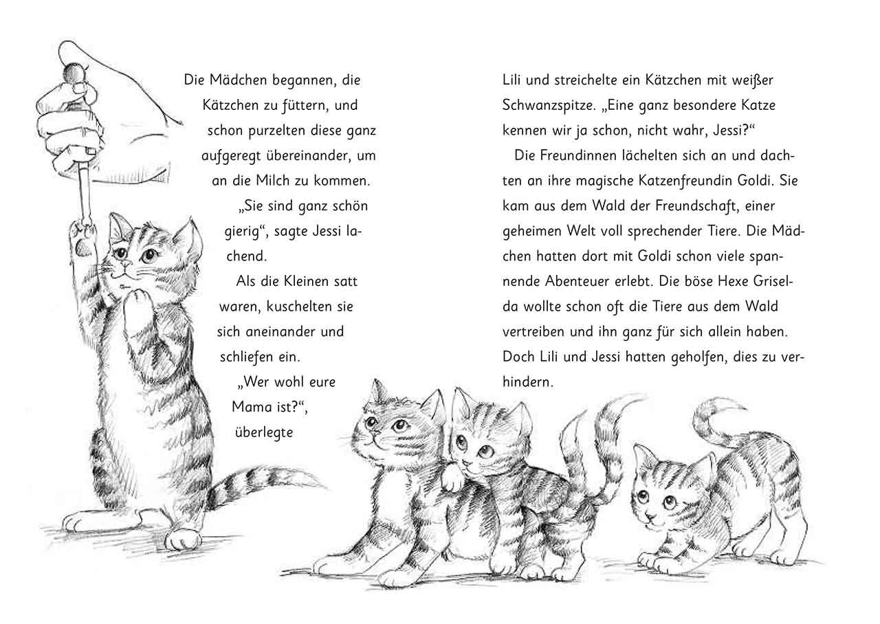 Beispielinhalt (Bild) Die magischen Tierfreunde - Susi Samtpfote geht verloren