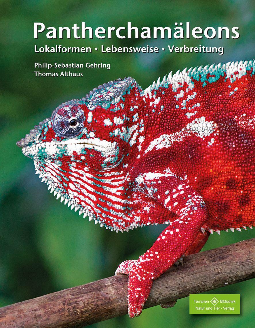 Vorderes Coverbild Pantherchamäleons