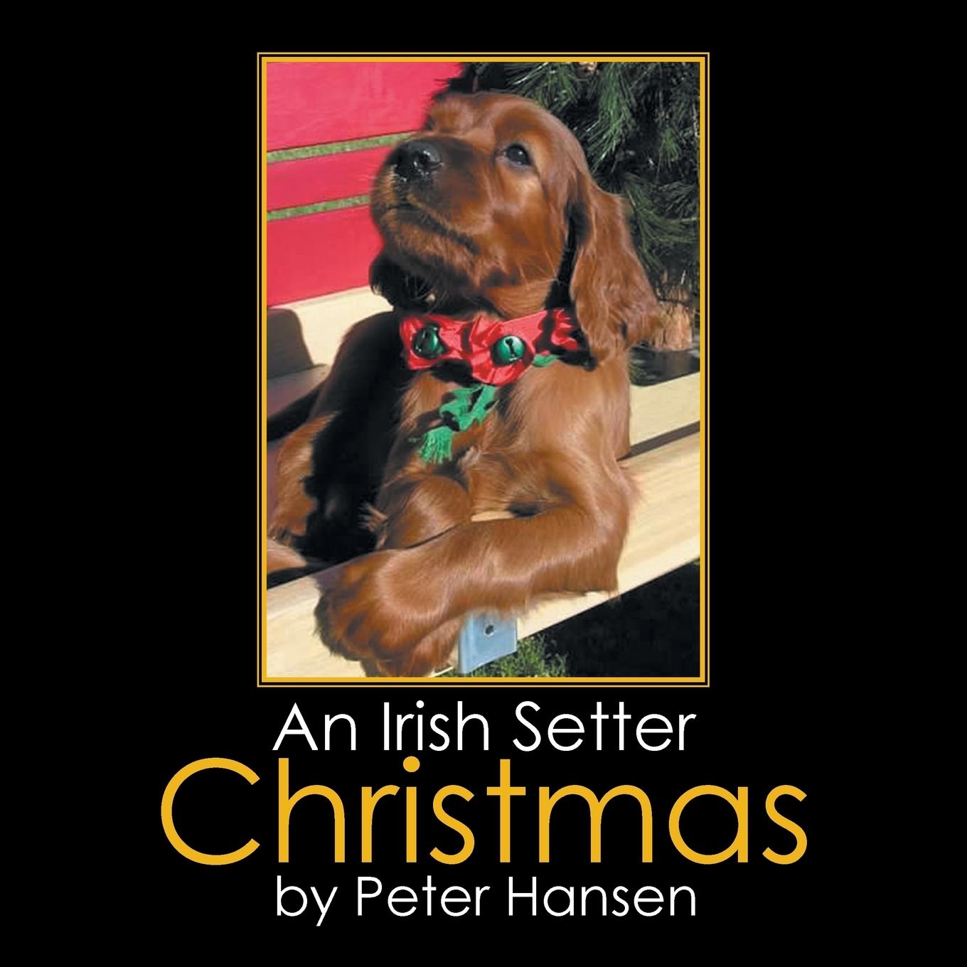 Vorderes Coverbild An Irish Setter Christmas
