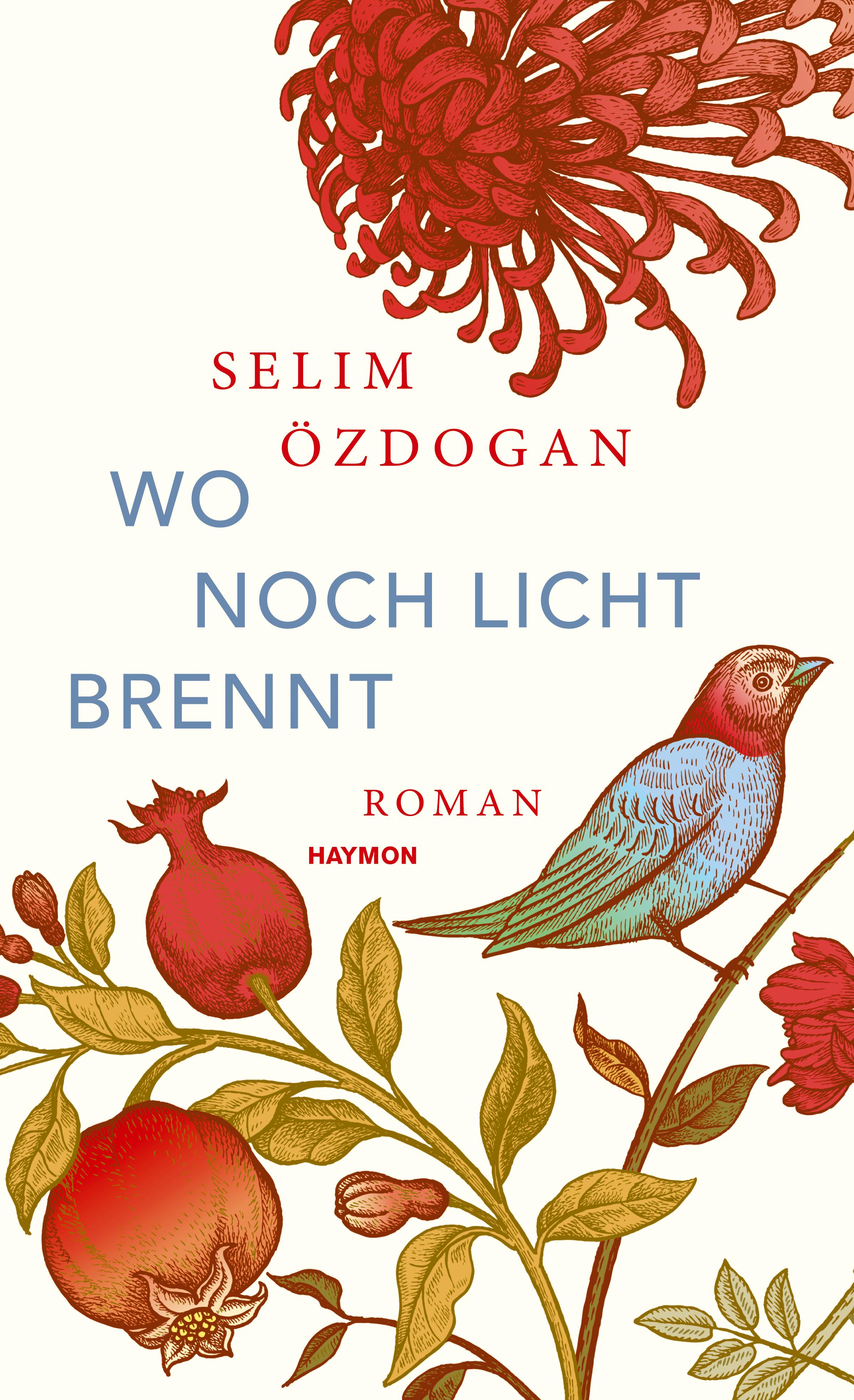 Vorderes Coverbild Wo noch Licht brennt