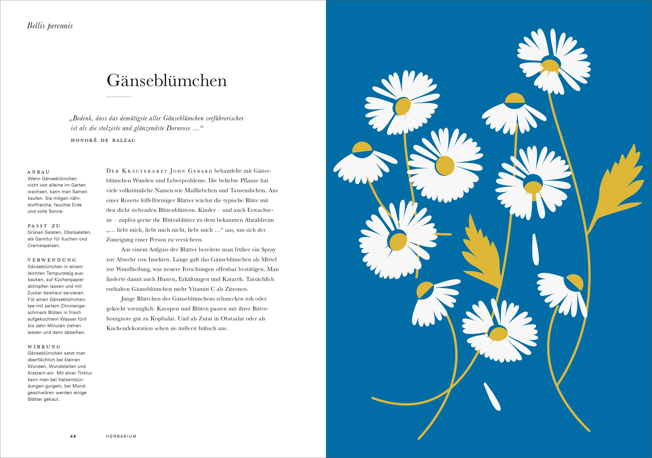 Beispielinhalt (Bild) Herbarium