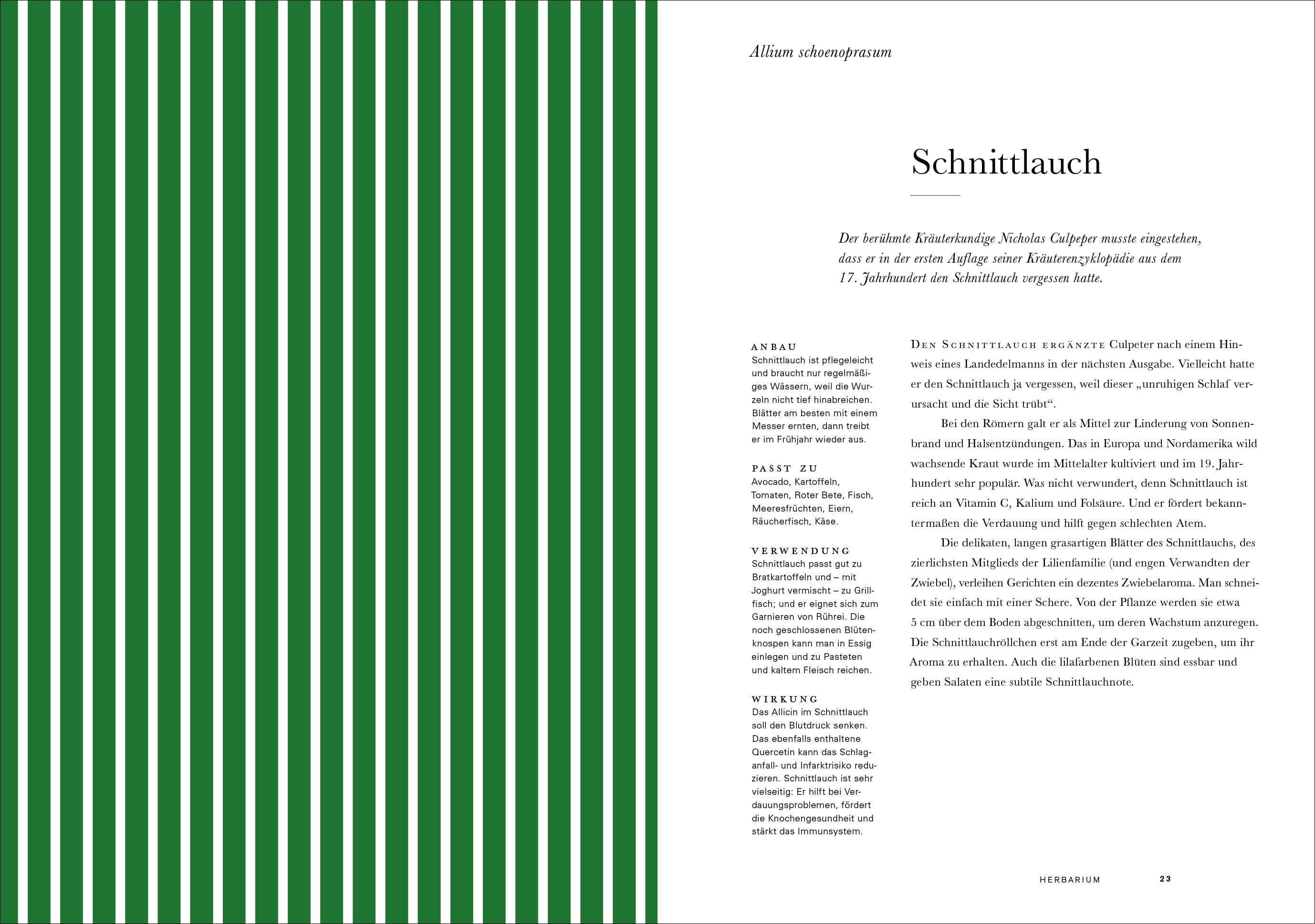 Beispielinhalt (Bild) Herbarium